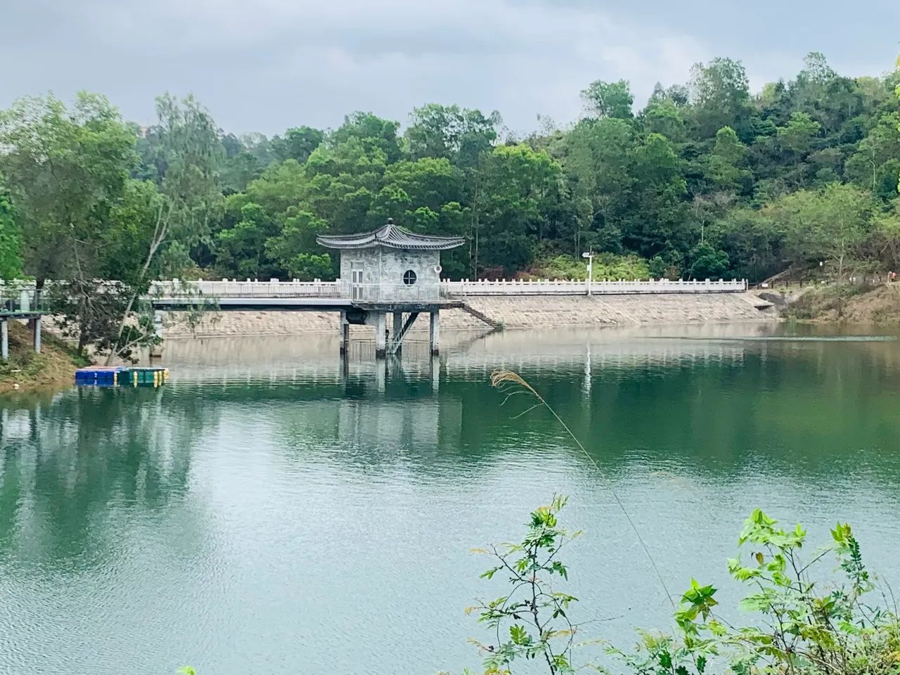 桃花源景区旅行图片 3