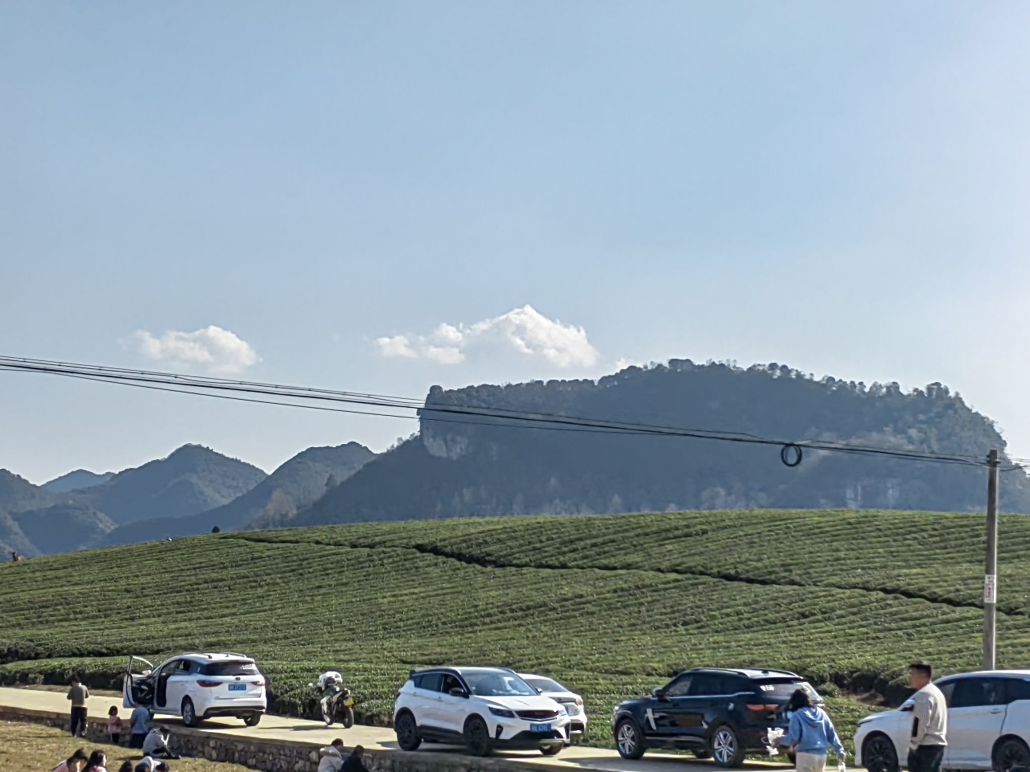 十二茅坡梅格樱花园旅行图片 3