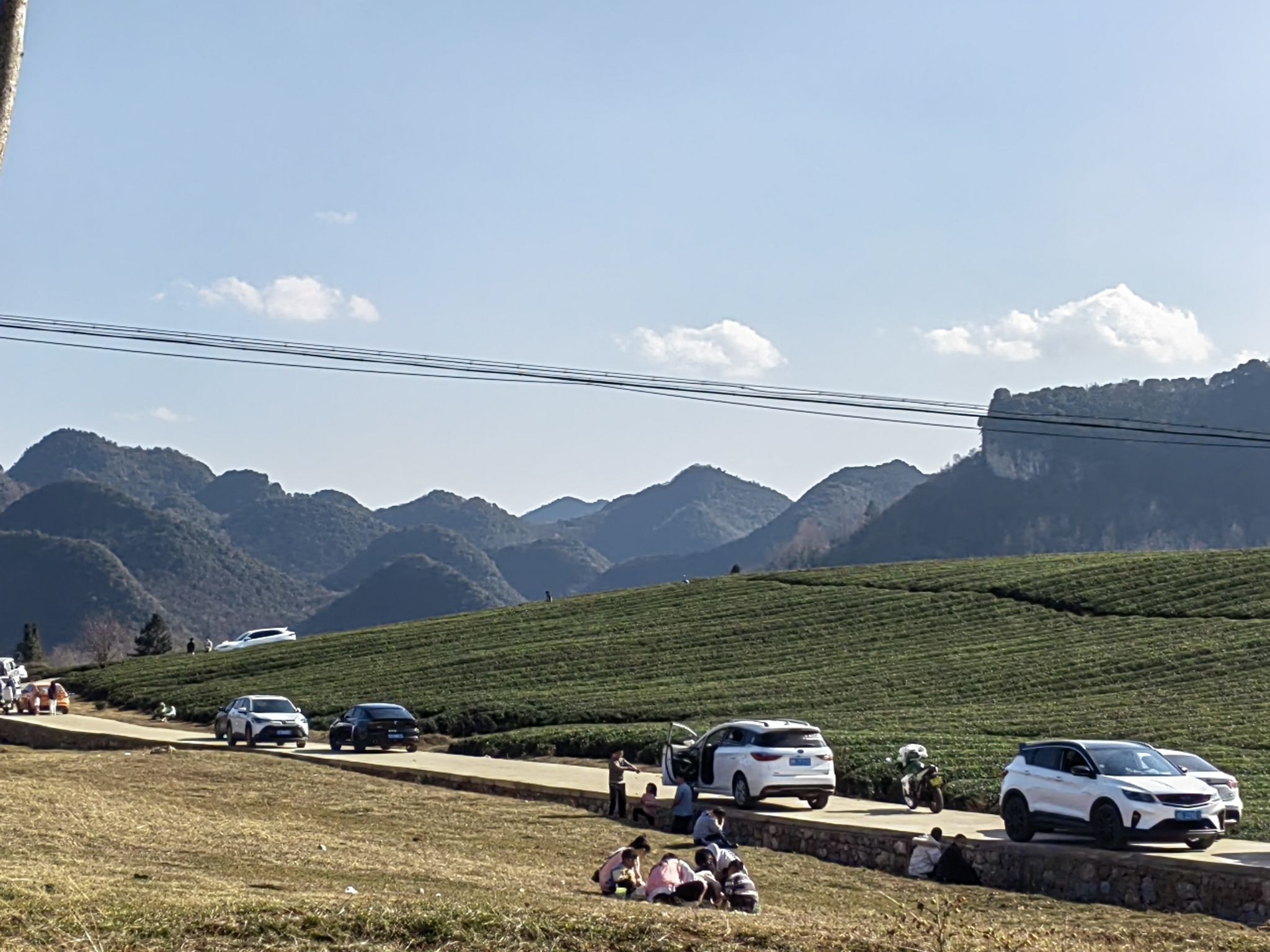 十二茅坡梅格樱花园旅行图片