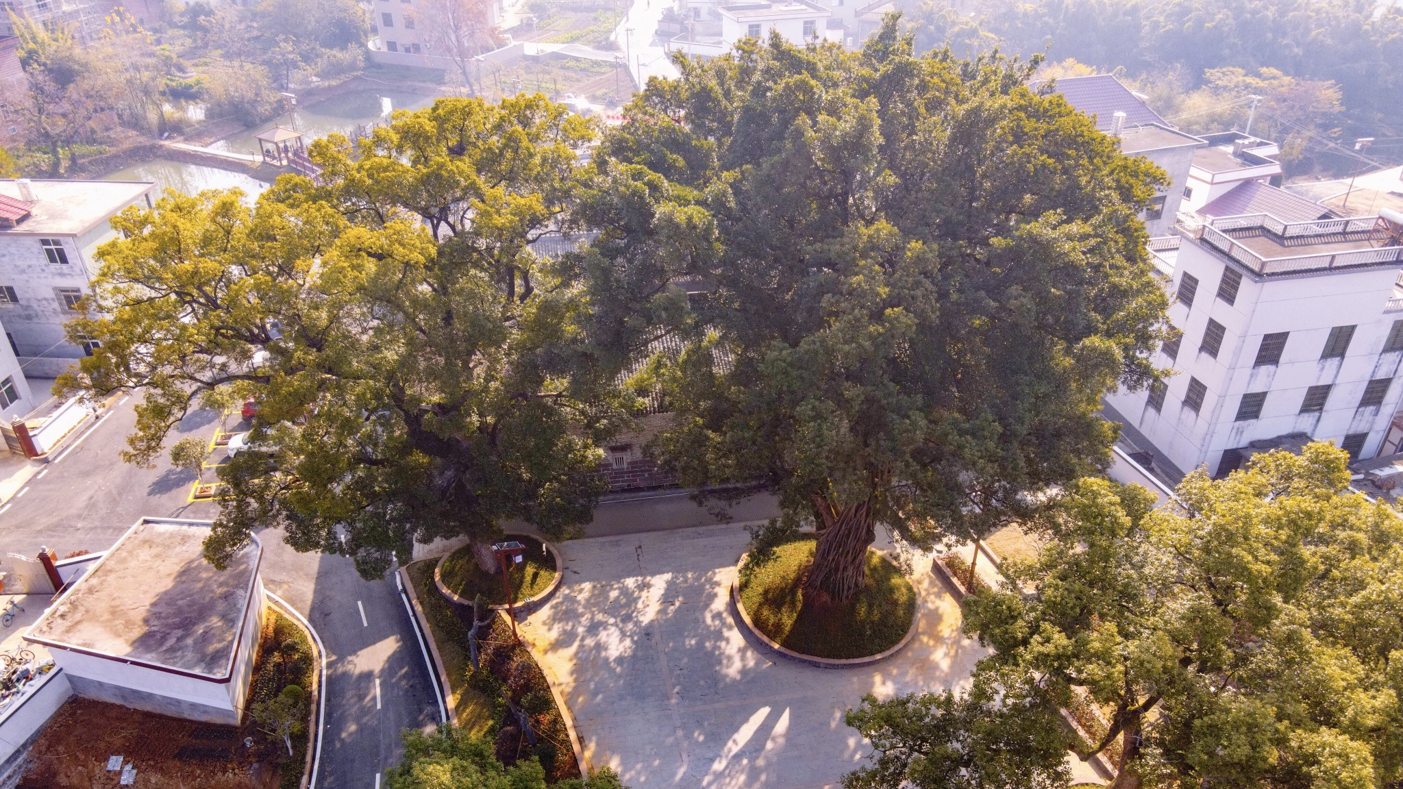 秀樾澄塘旅行图片 1