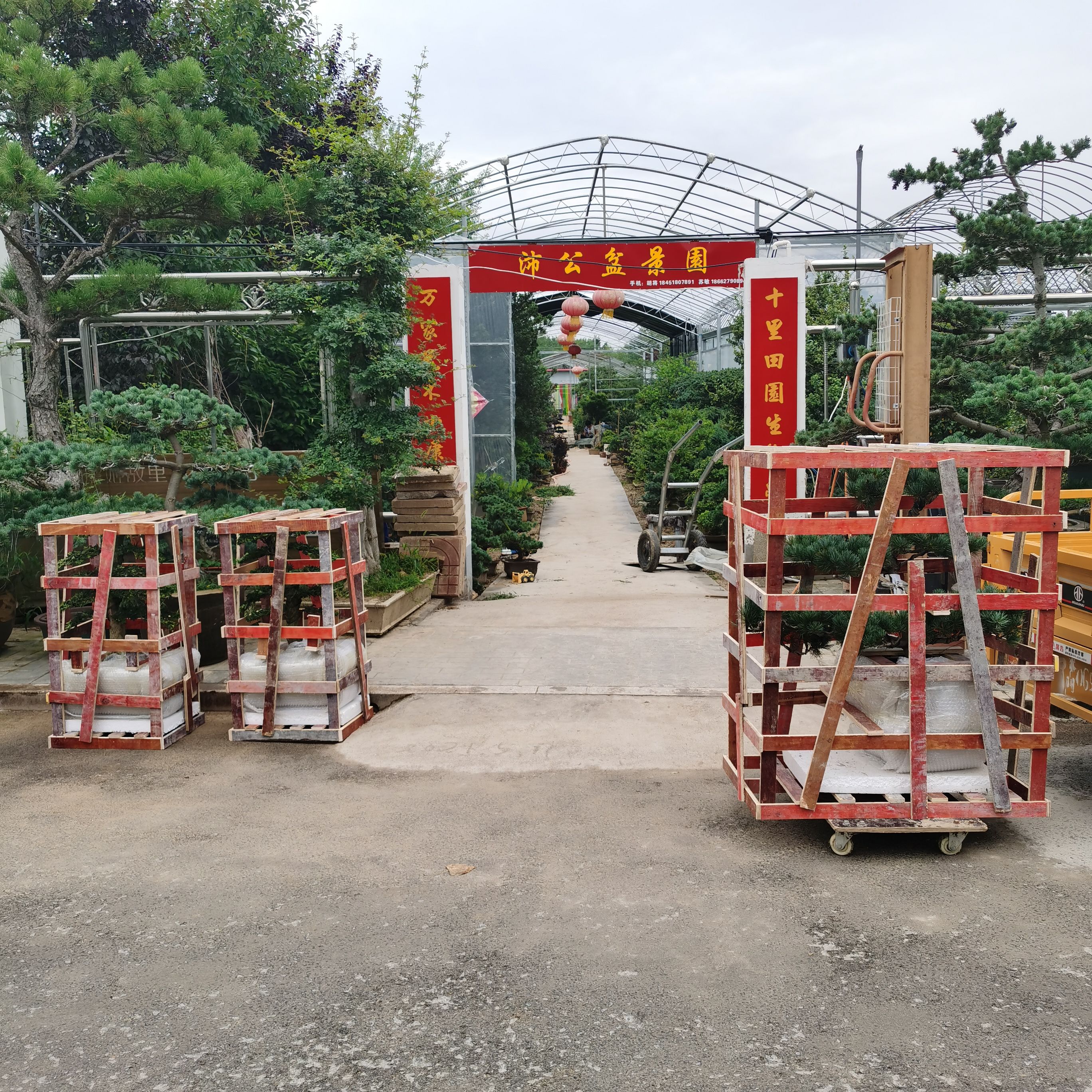沛公盆景园旅行图片 1