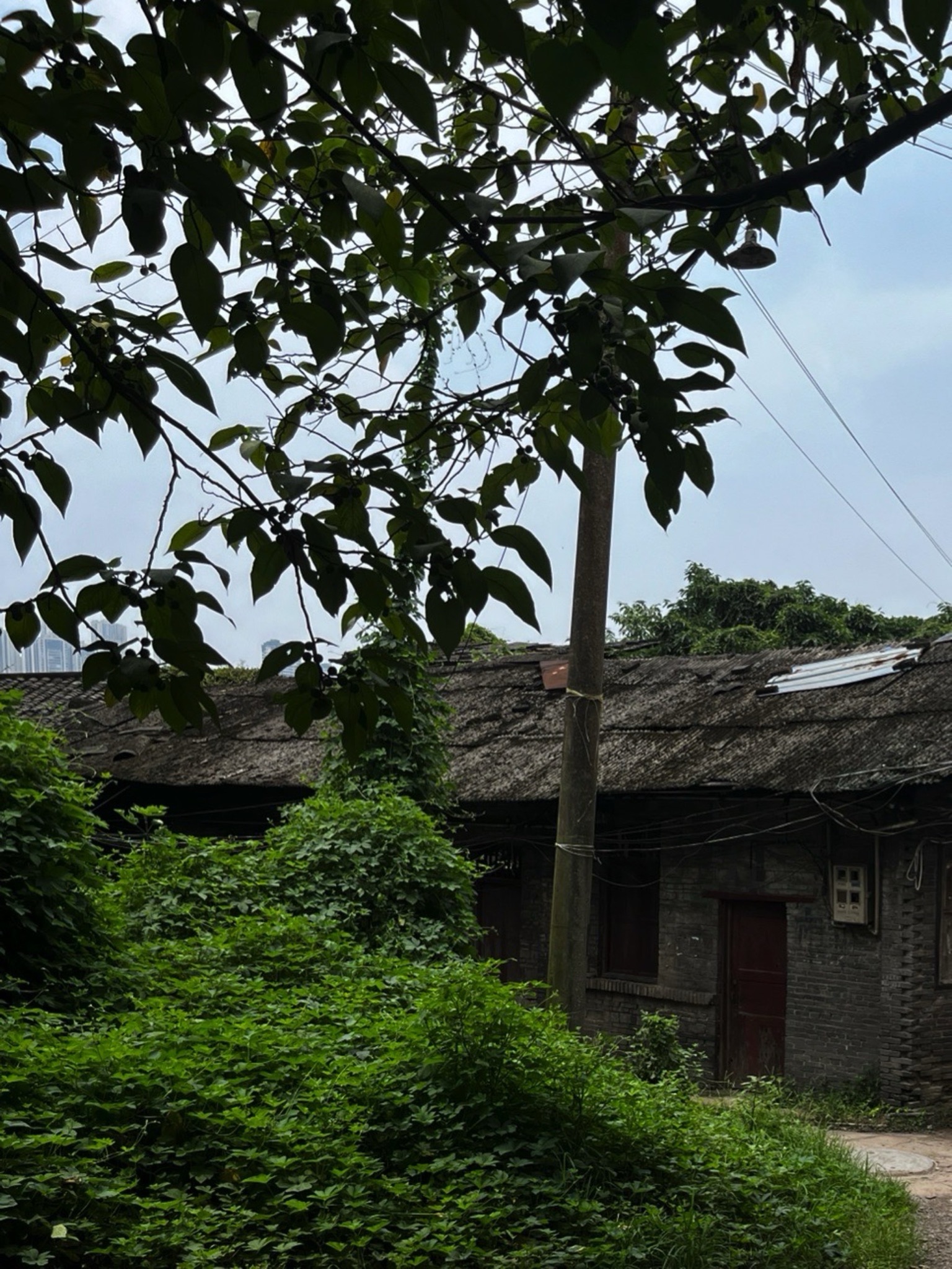 寸滩传统风貌区旅行图片 1