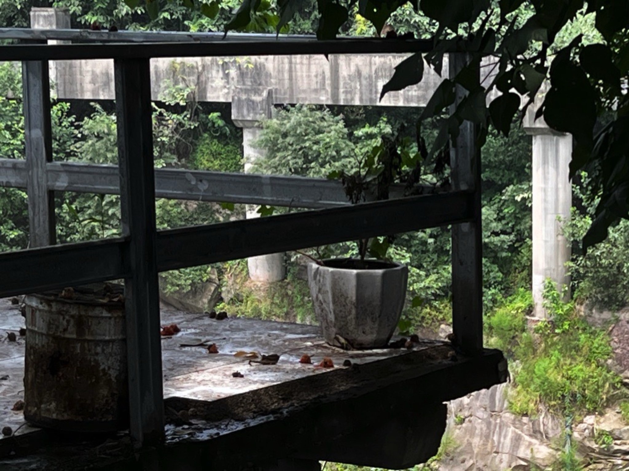寸滩传统风貌区旅行图片 3