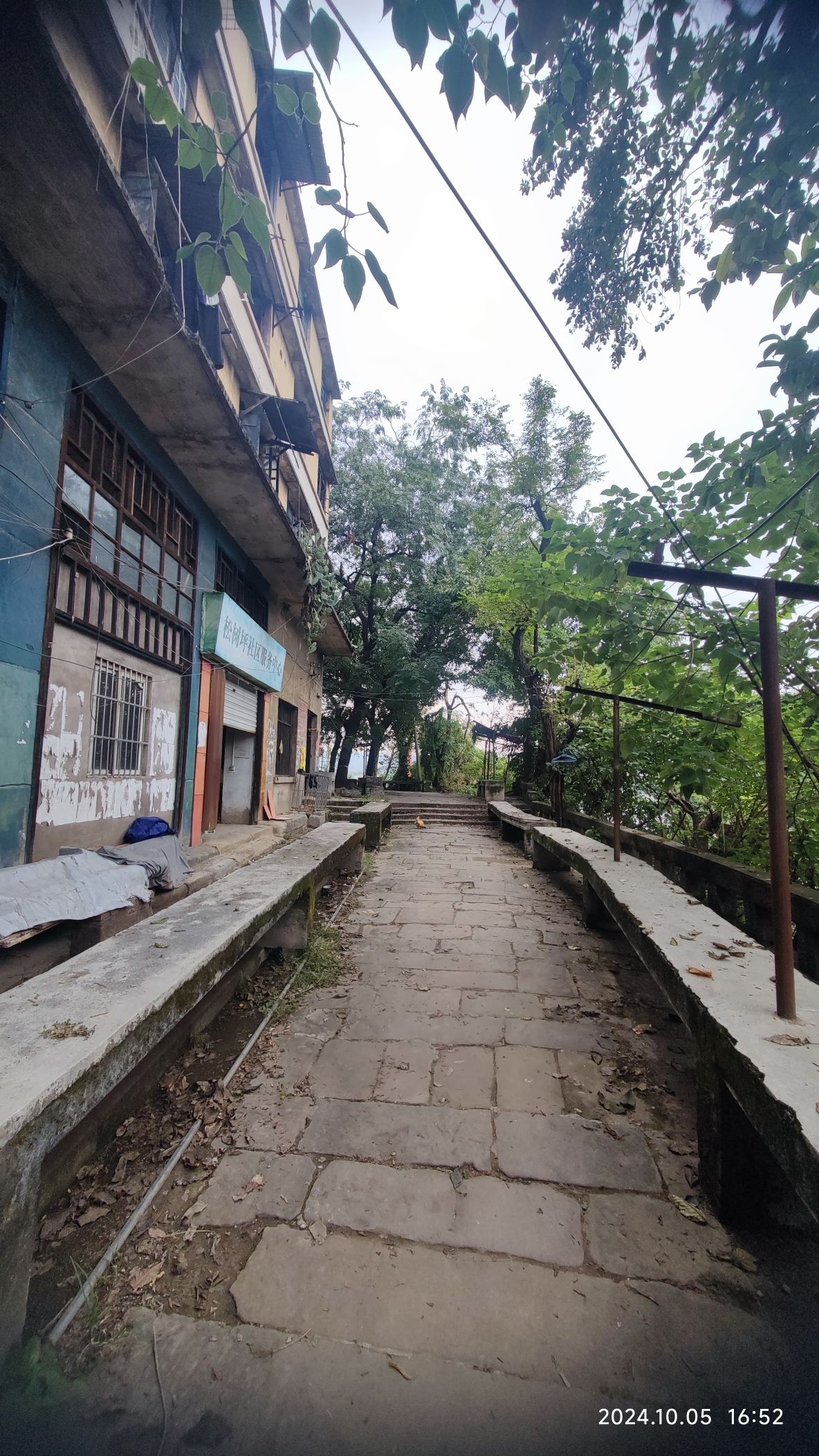 寸滩传统风貌区旅行图片 2
