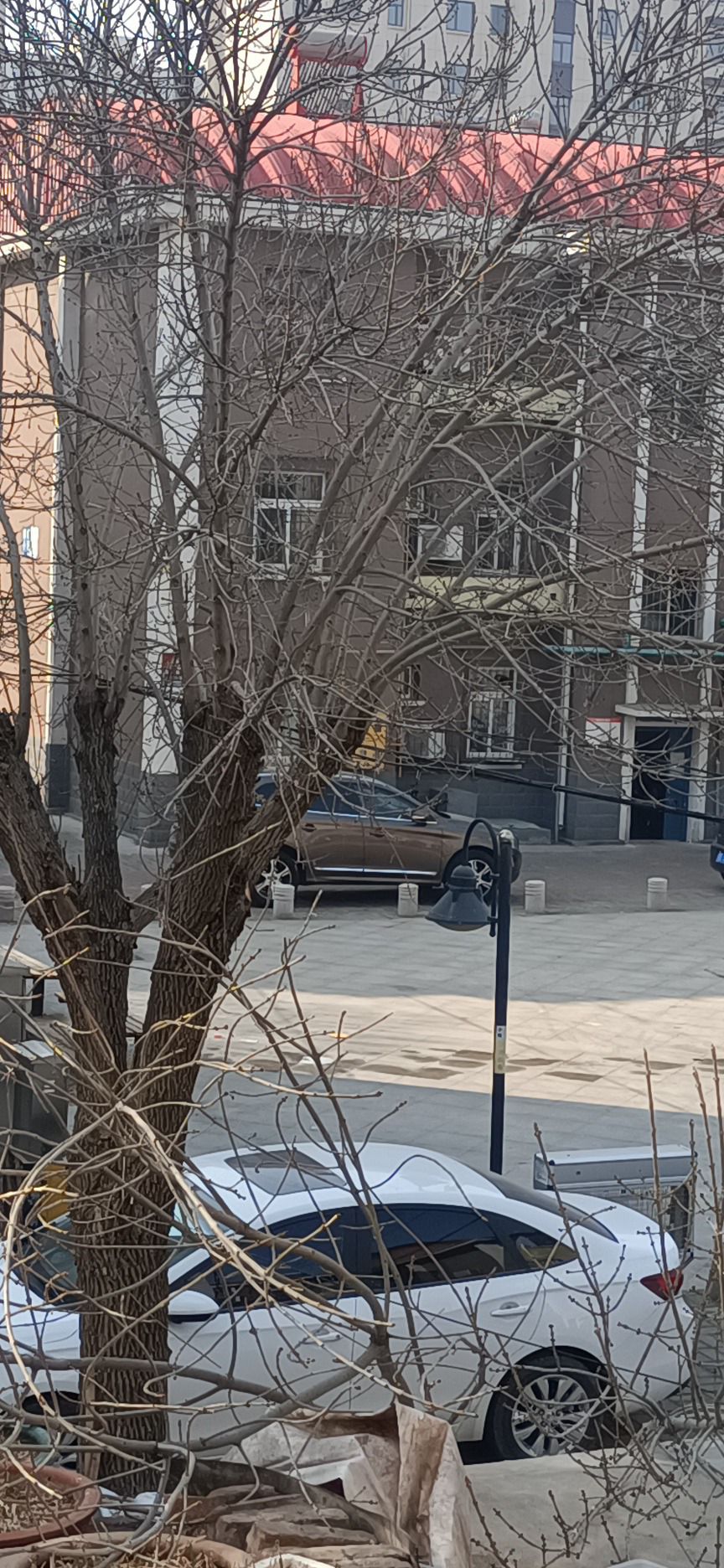 聊城小区公园旅行图片 3