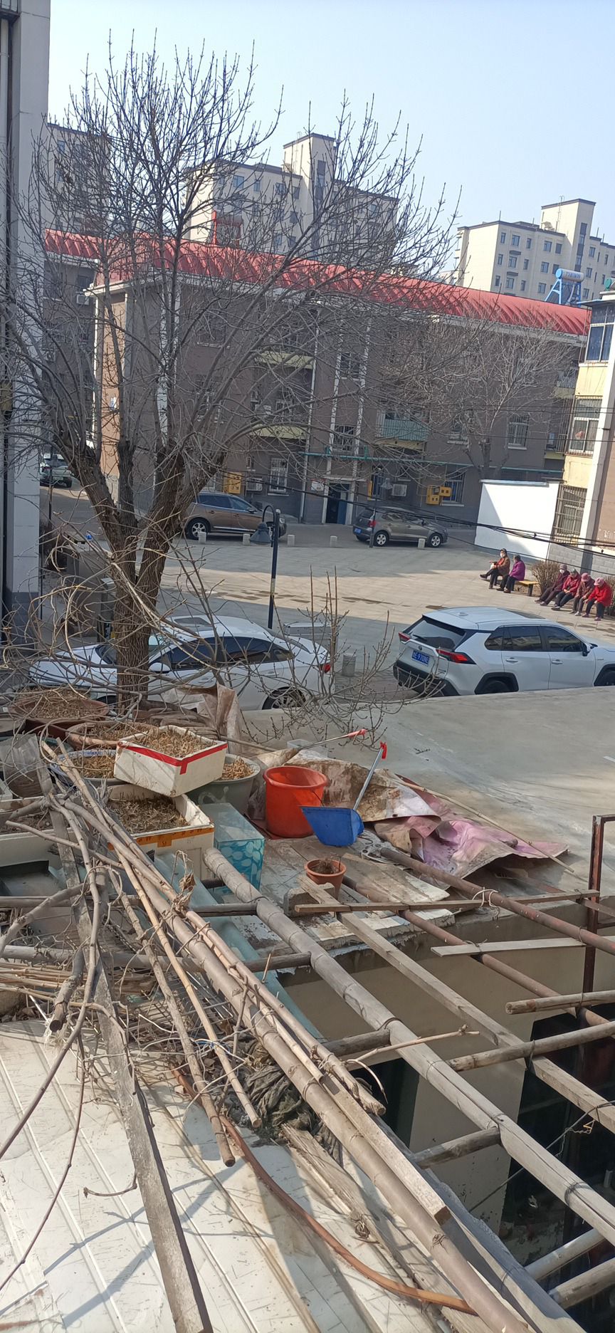 聊城小区公园旅行图片 2