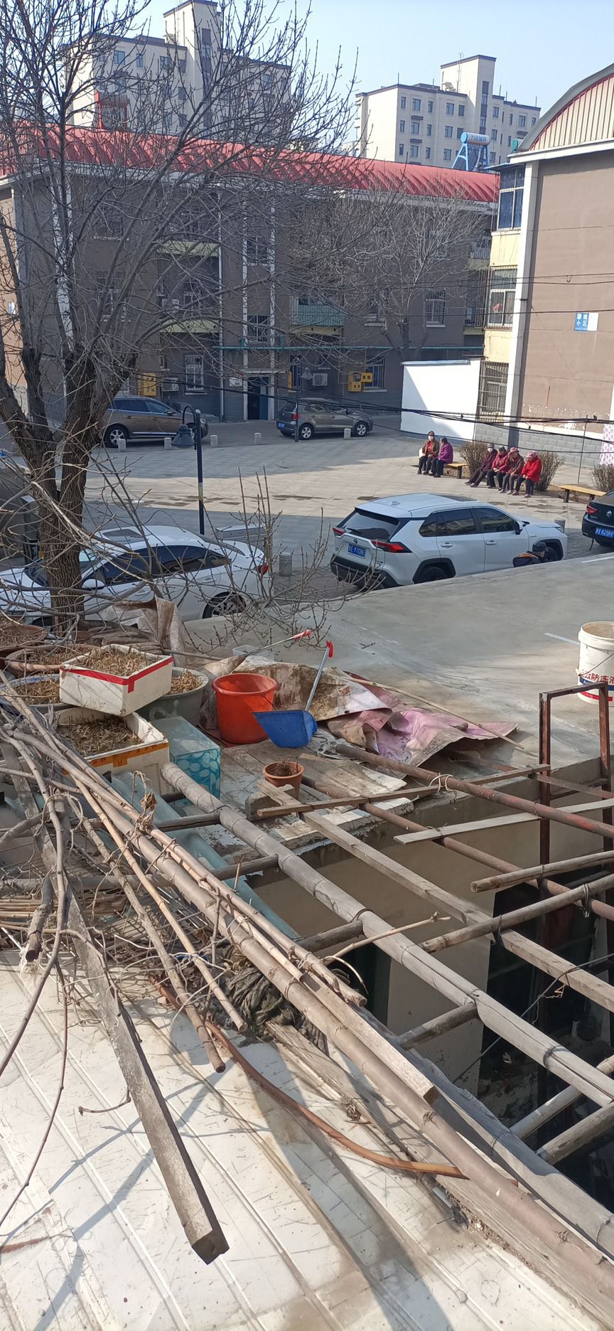 聊城小区公园旅行图片 1