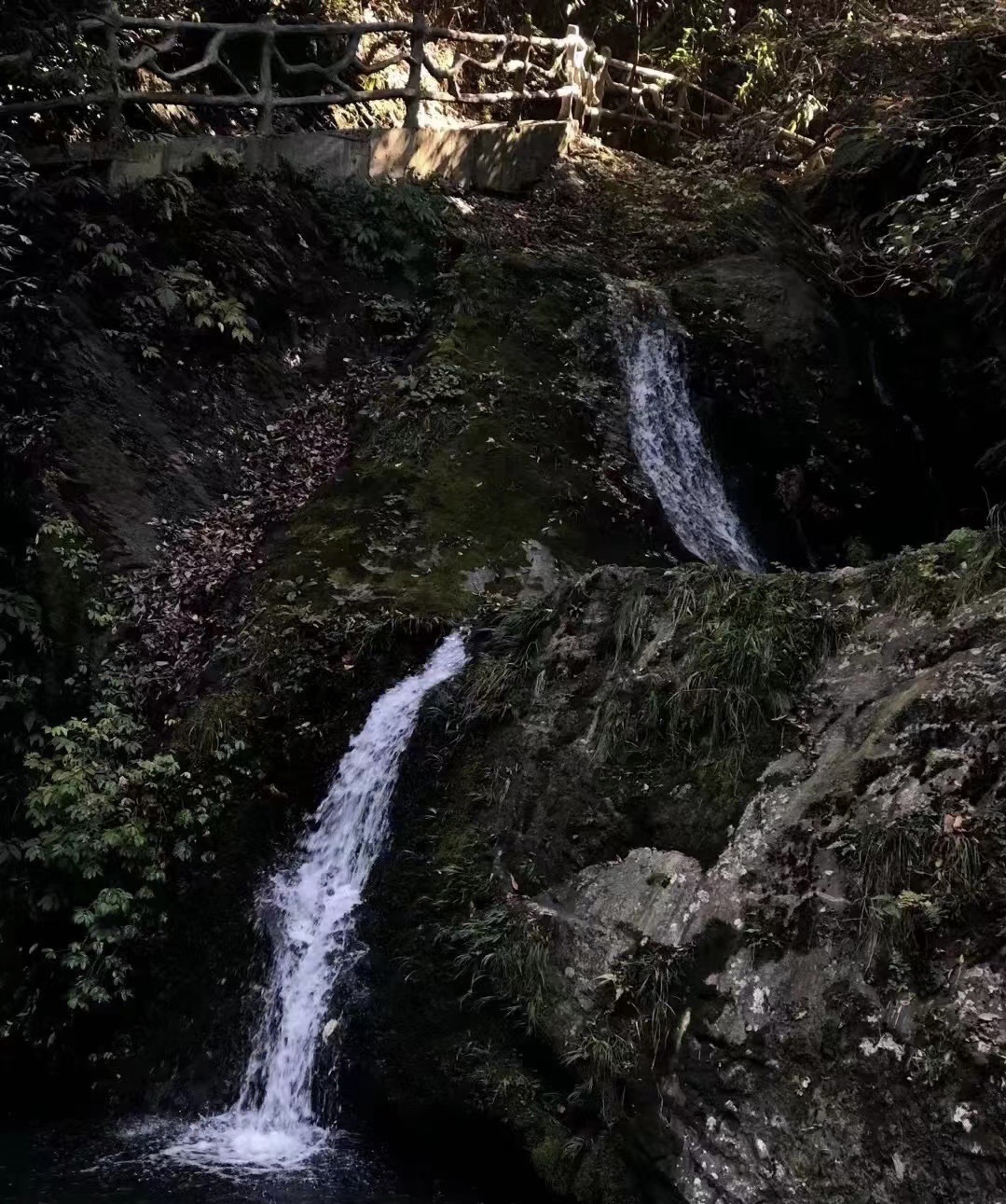 青龙首峡谷旅行图片 3