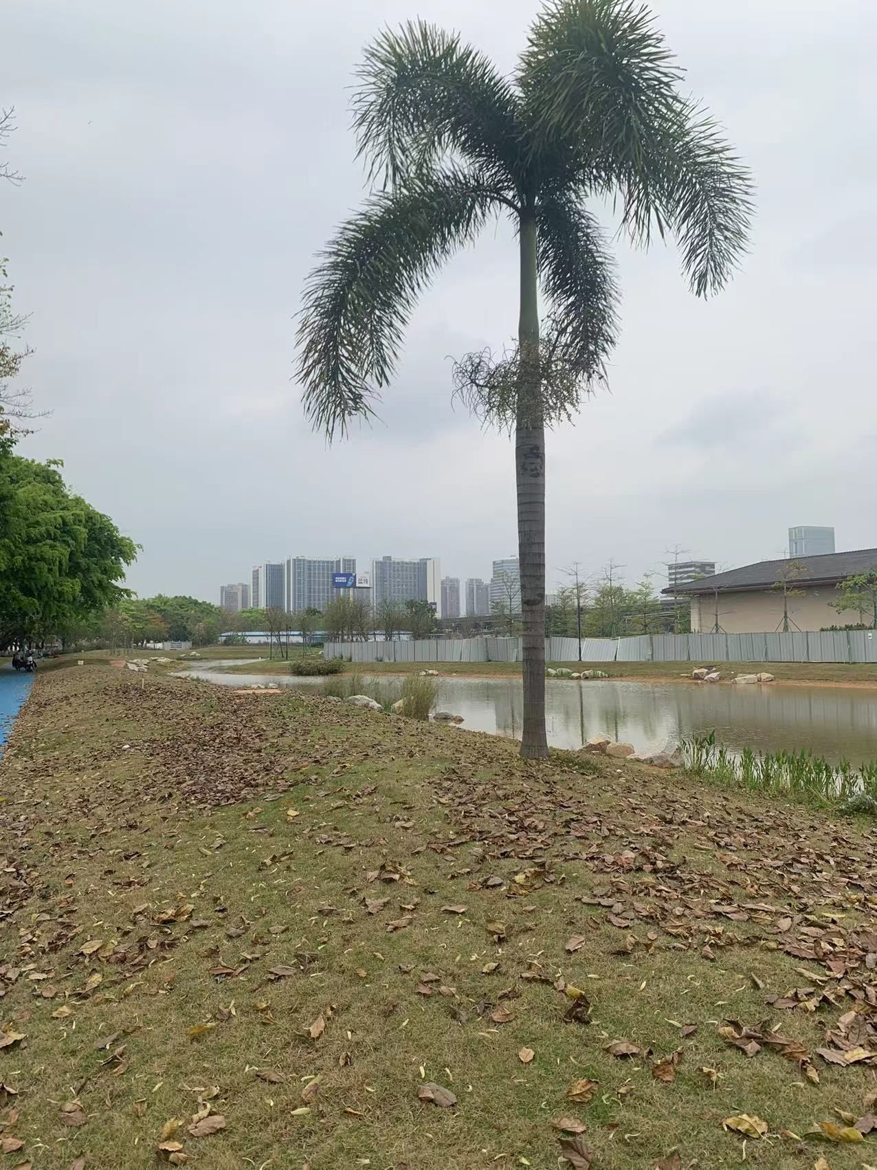 南岗龙舟文化中心主题公园旅行图片 2