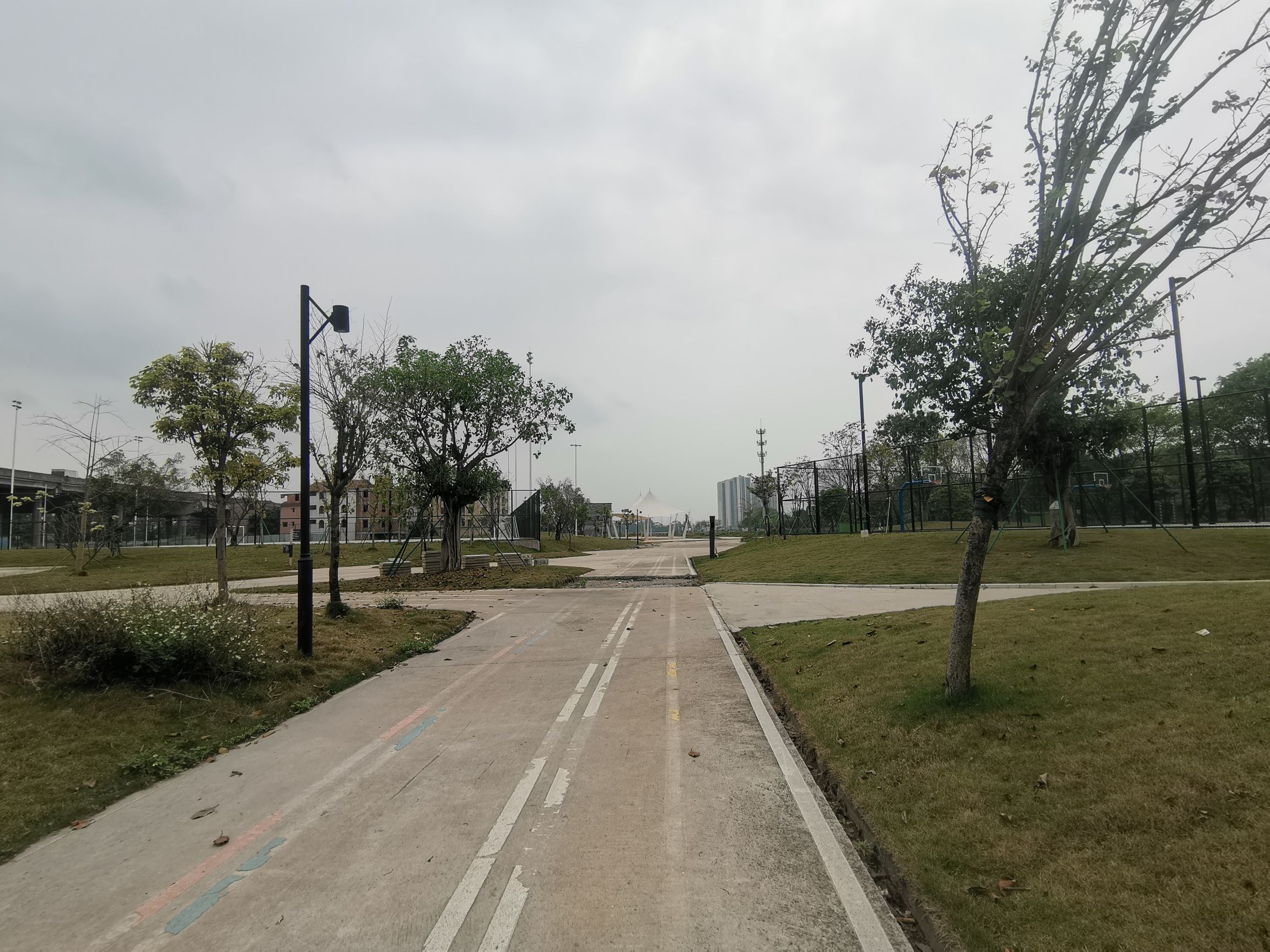 南岗龙舟文化中心主题公园旅行图片 3