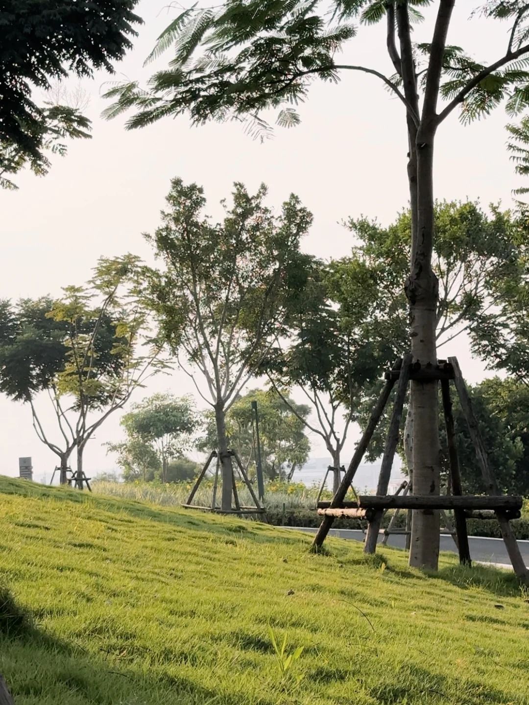 石头皮山公园旅行图片 2