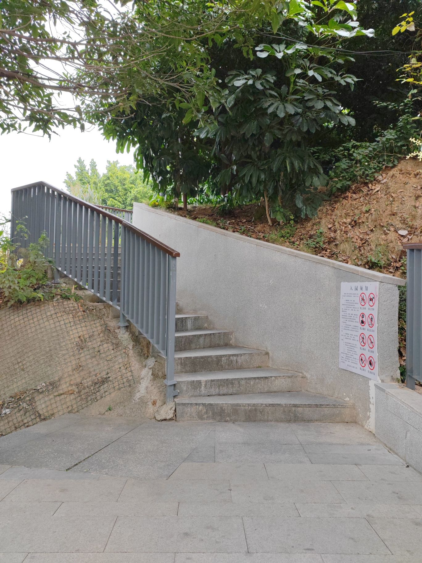 石头皮山公园旅行图片 1