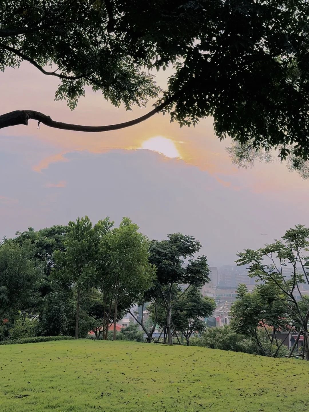 石头皮山公园旅行图片 1