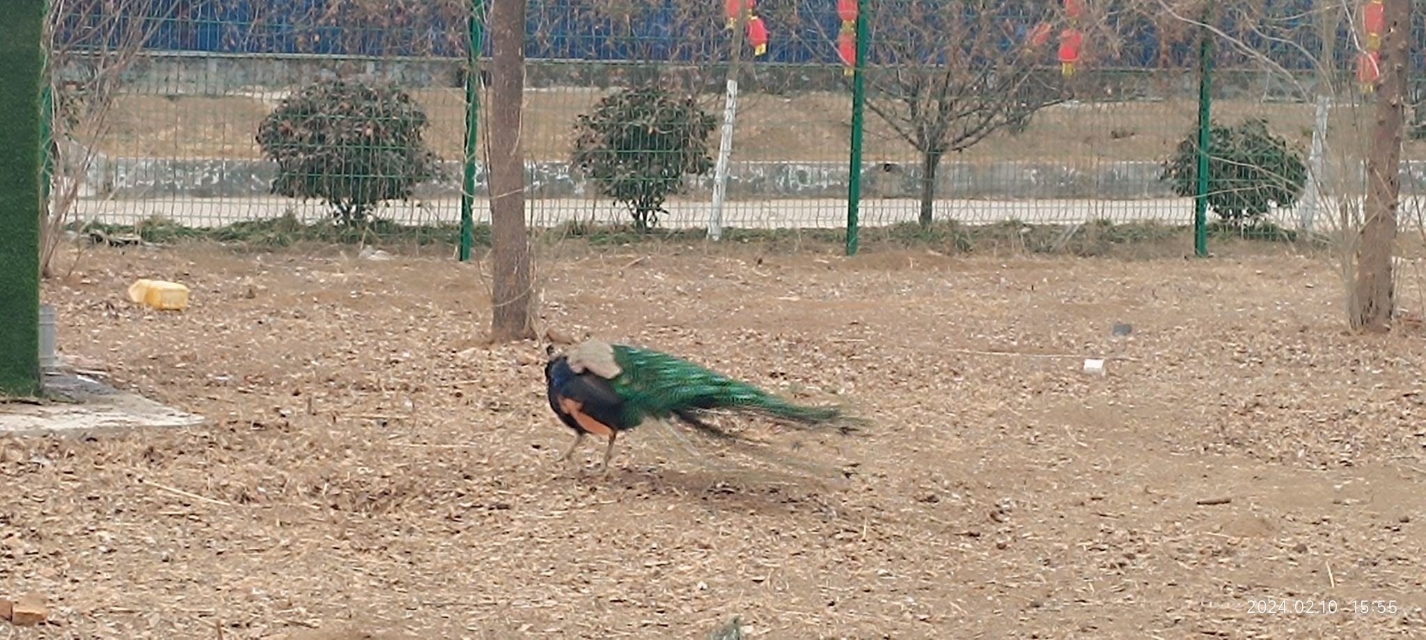 东明春博园旅行图片 2