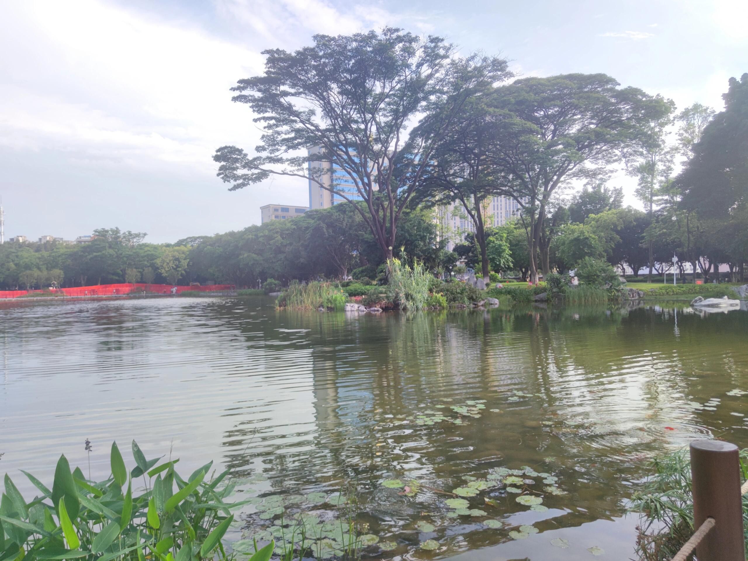 黄浦公园旅行图片 1