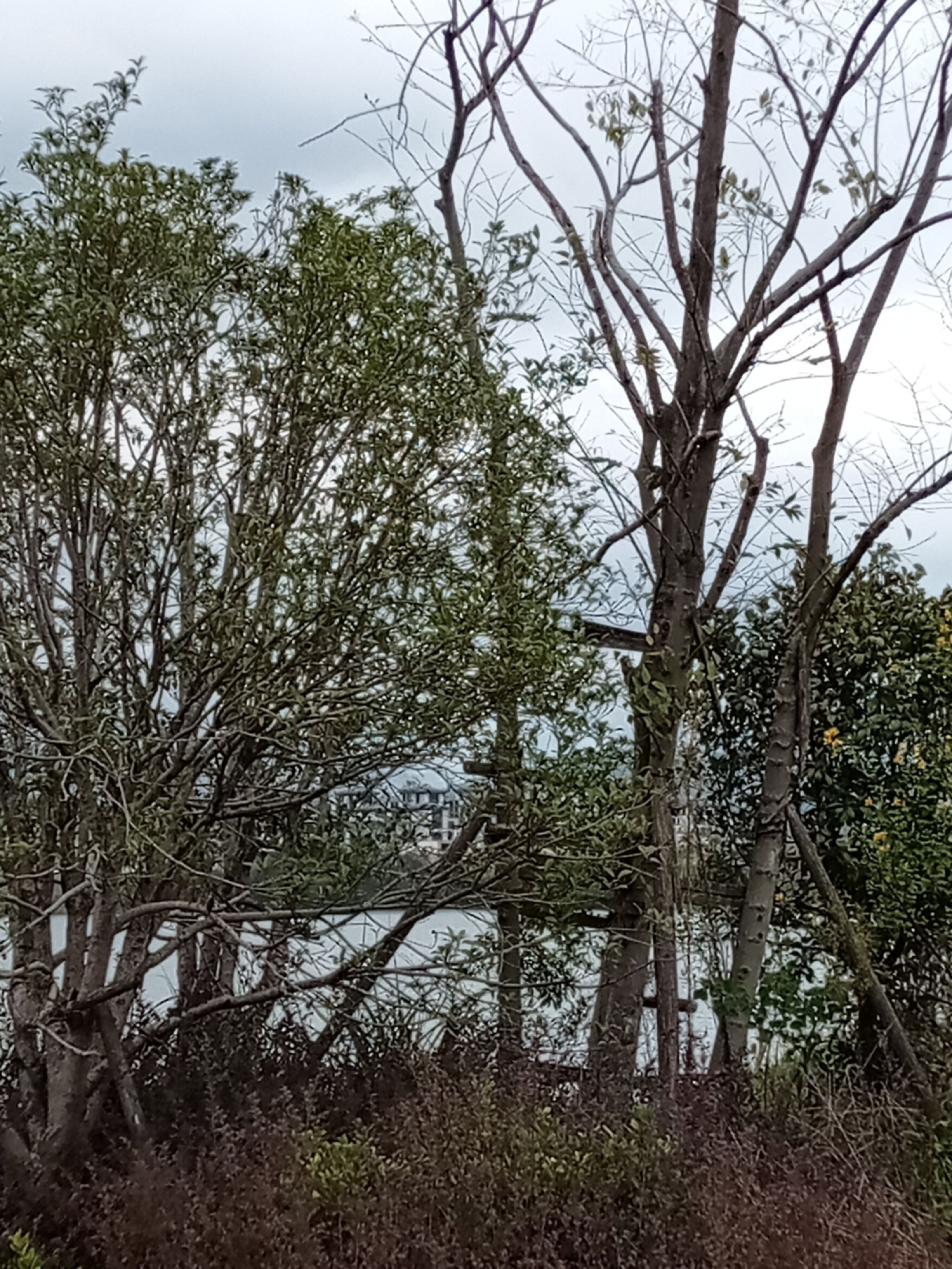 翠屏湖环湖慢道旅行图片 3