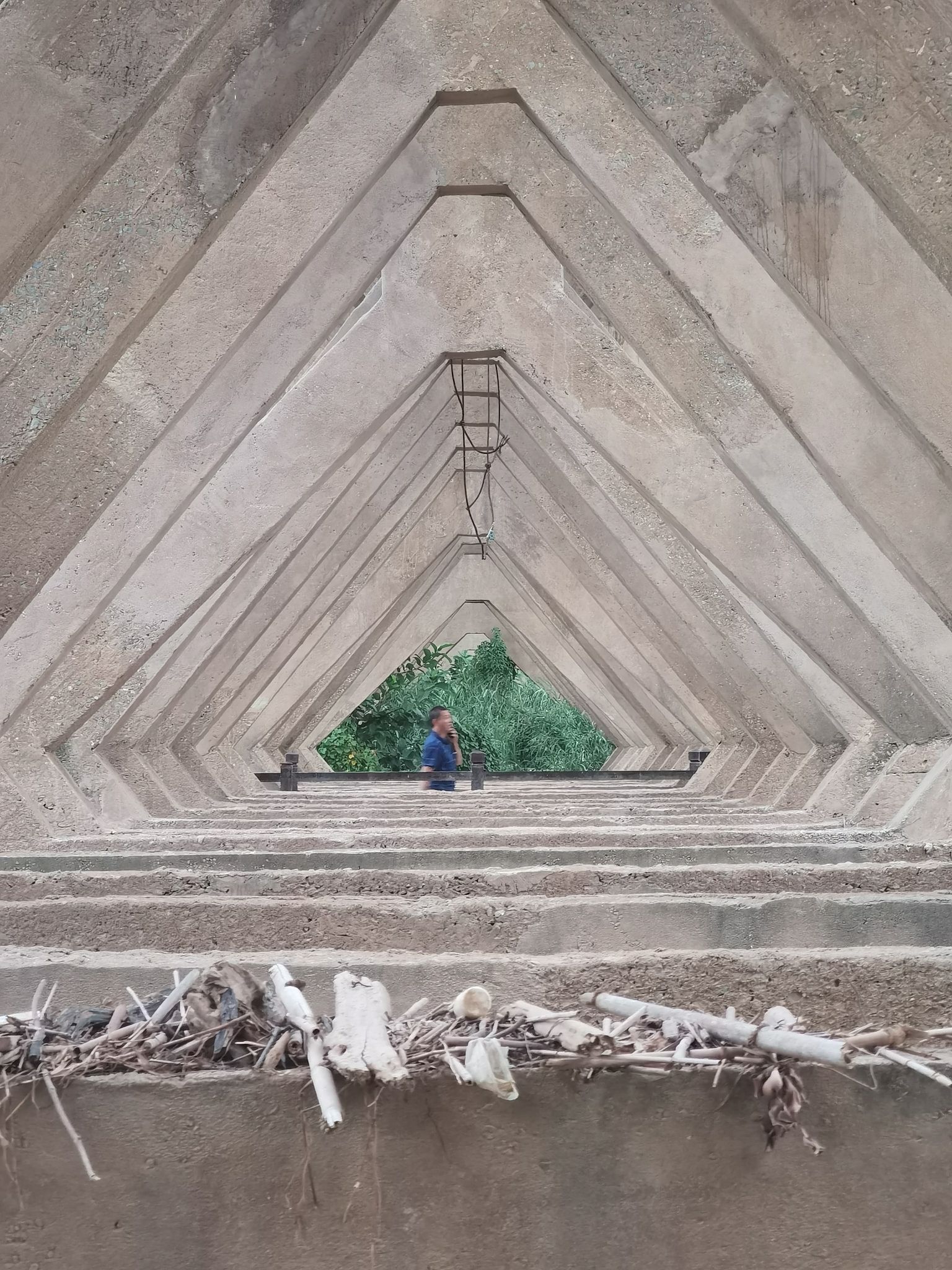 三水区西南街道半江桥旅行图片 3