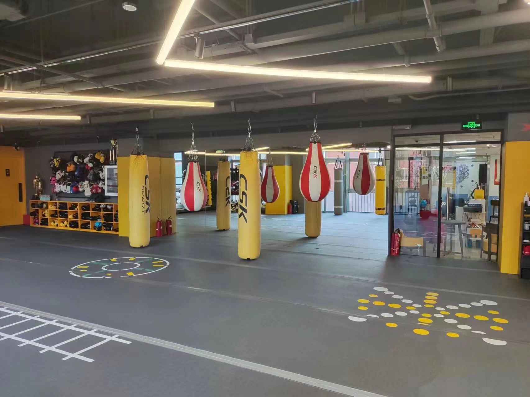 场地封面-袋鼠达达格斗俱乐部(东环店)