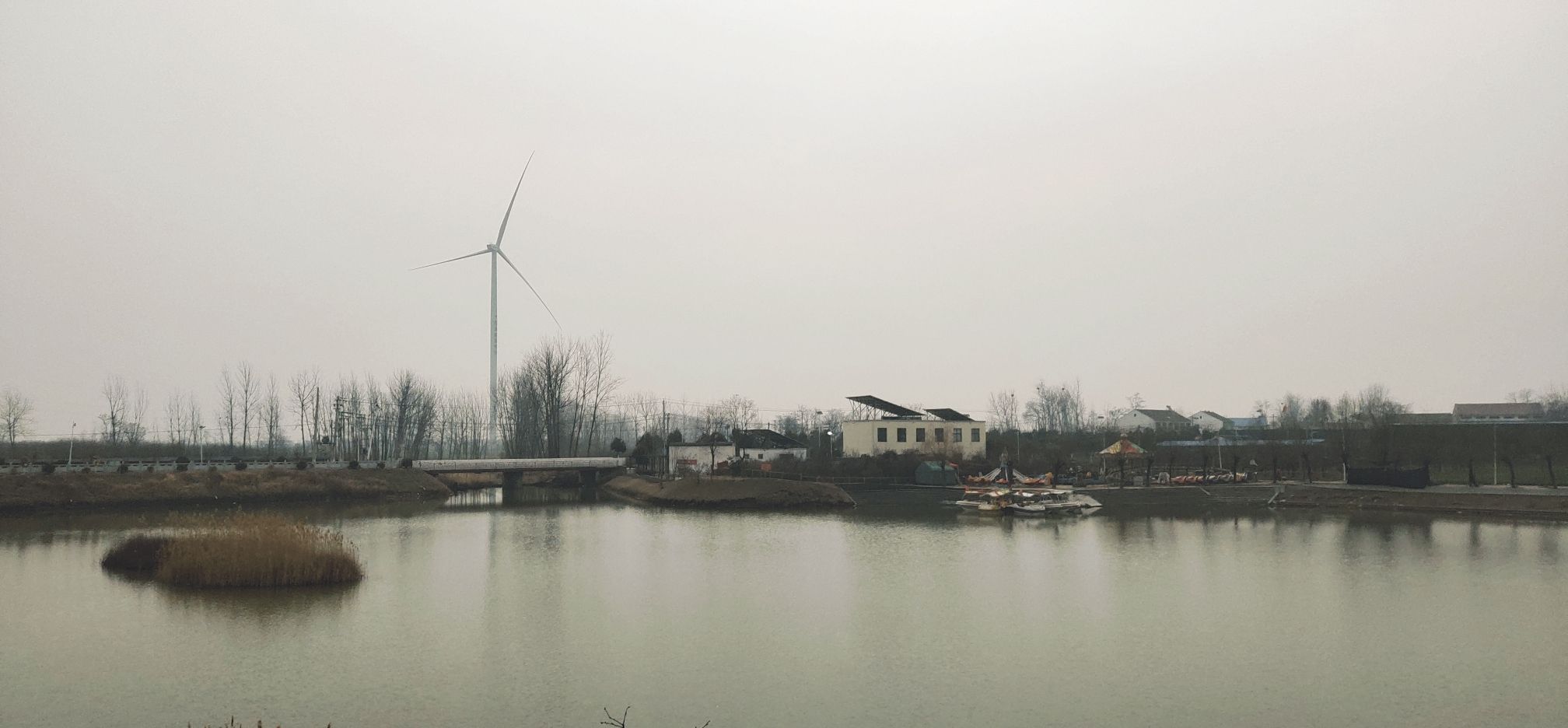 洪河湿地公园旅行图片 3