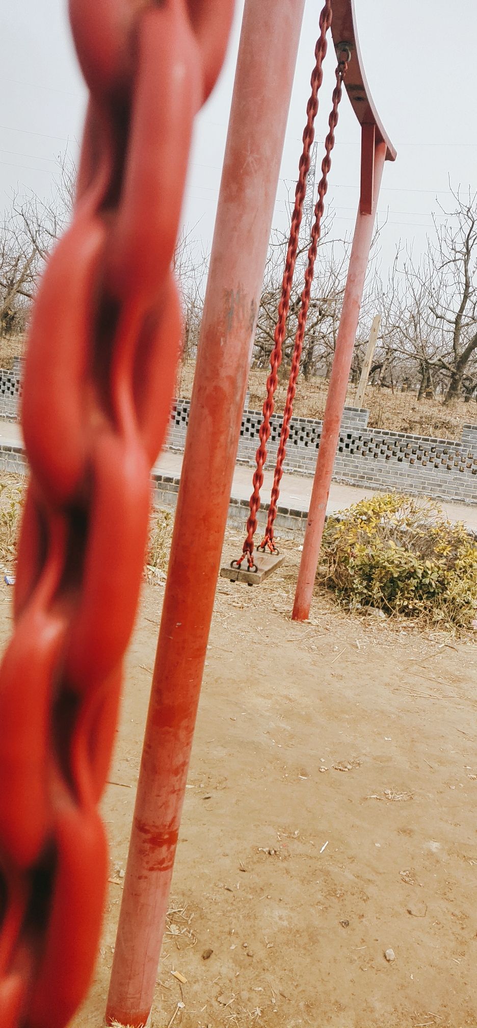 洪河湿地公园旅行图片 1