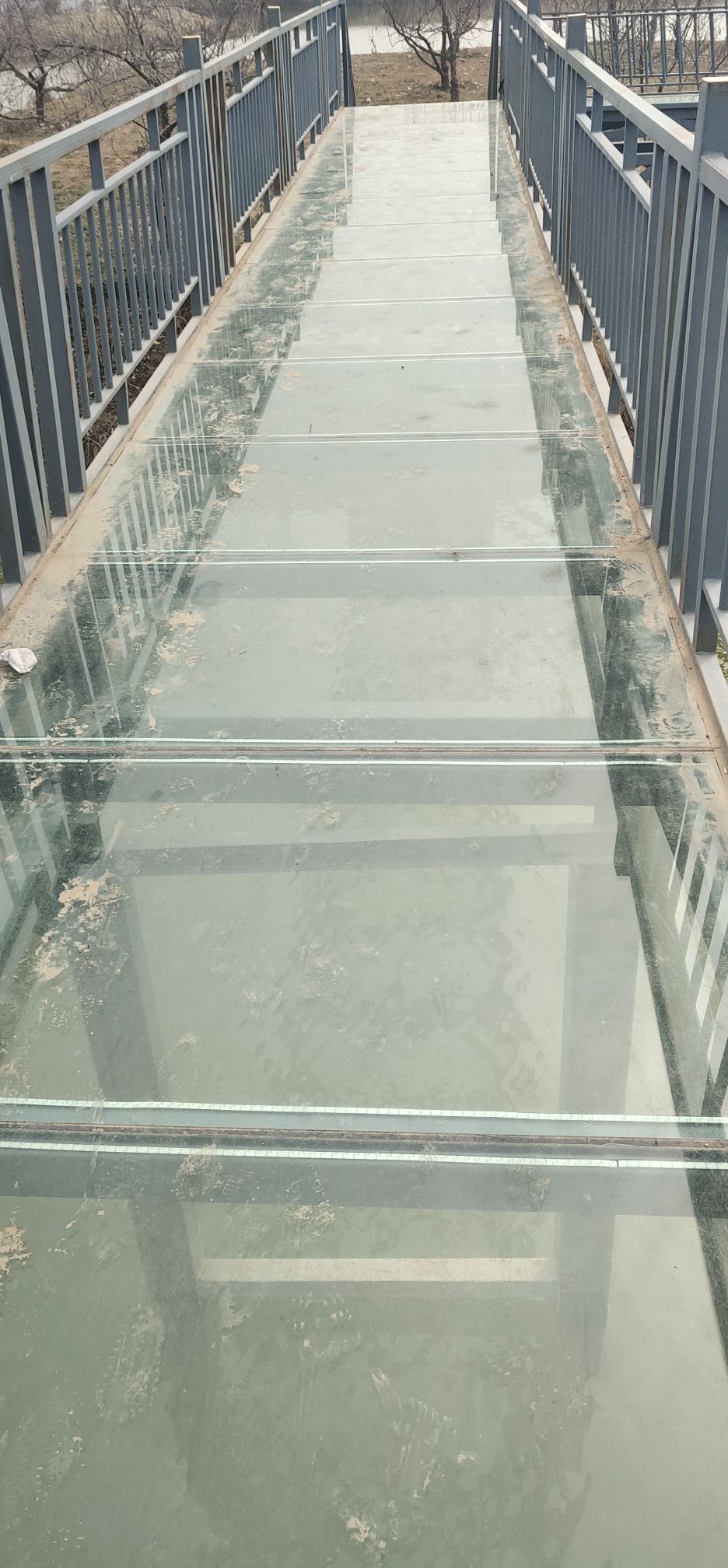 洪河湿地公园旅行图片 2