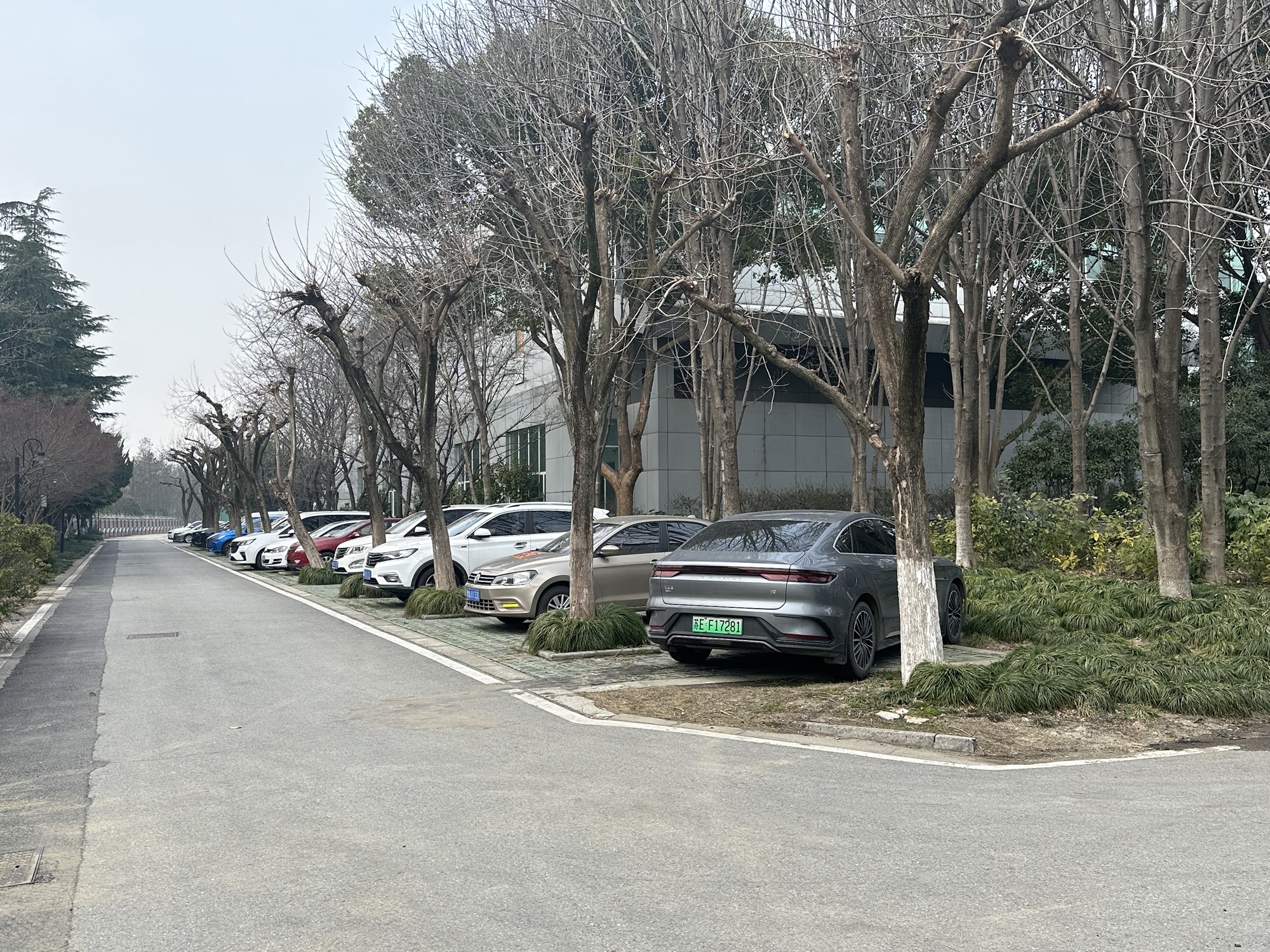 苏州农业职业技术学院体育馆