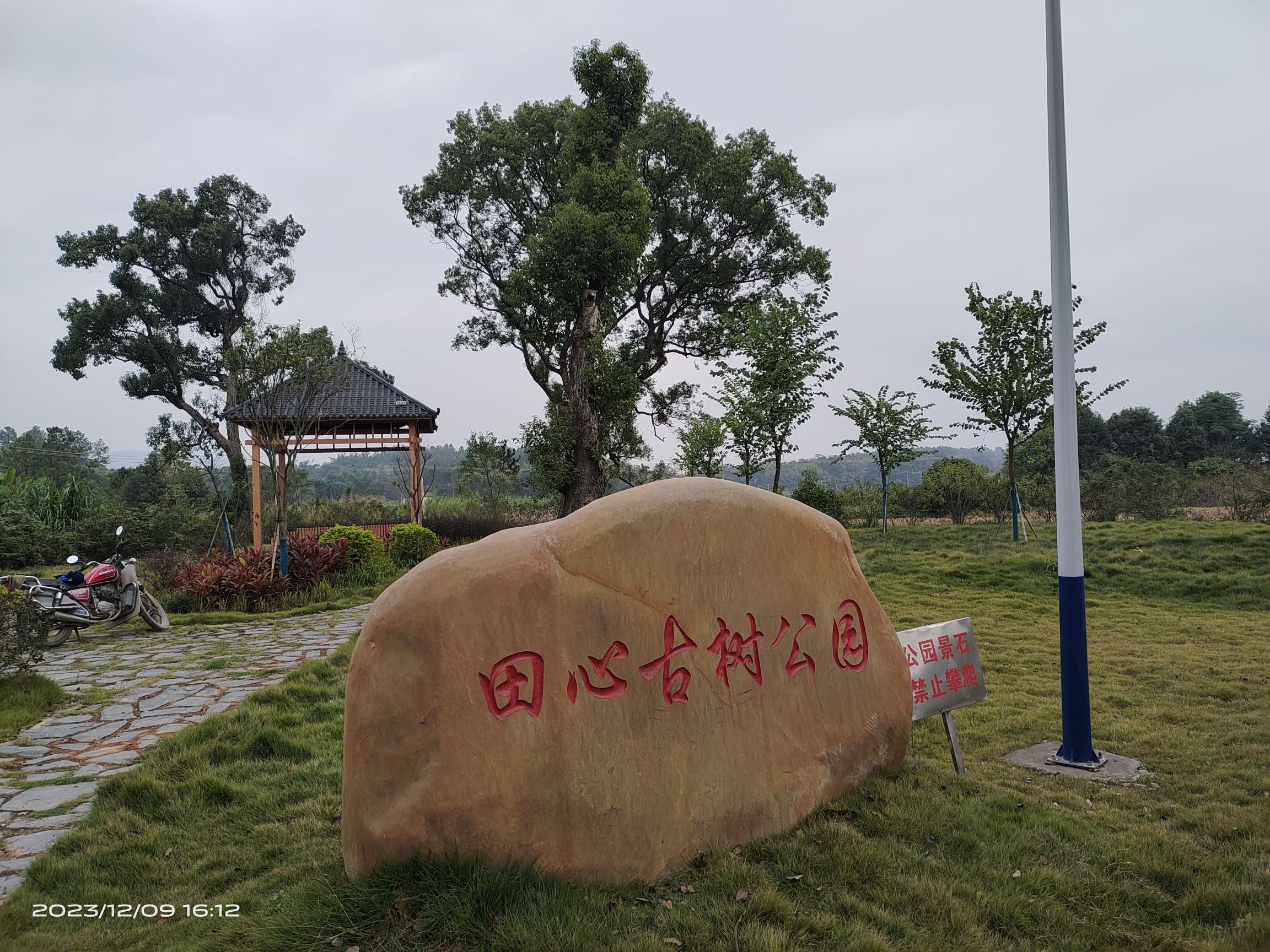 田心古树公园旅行图片 1