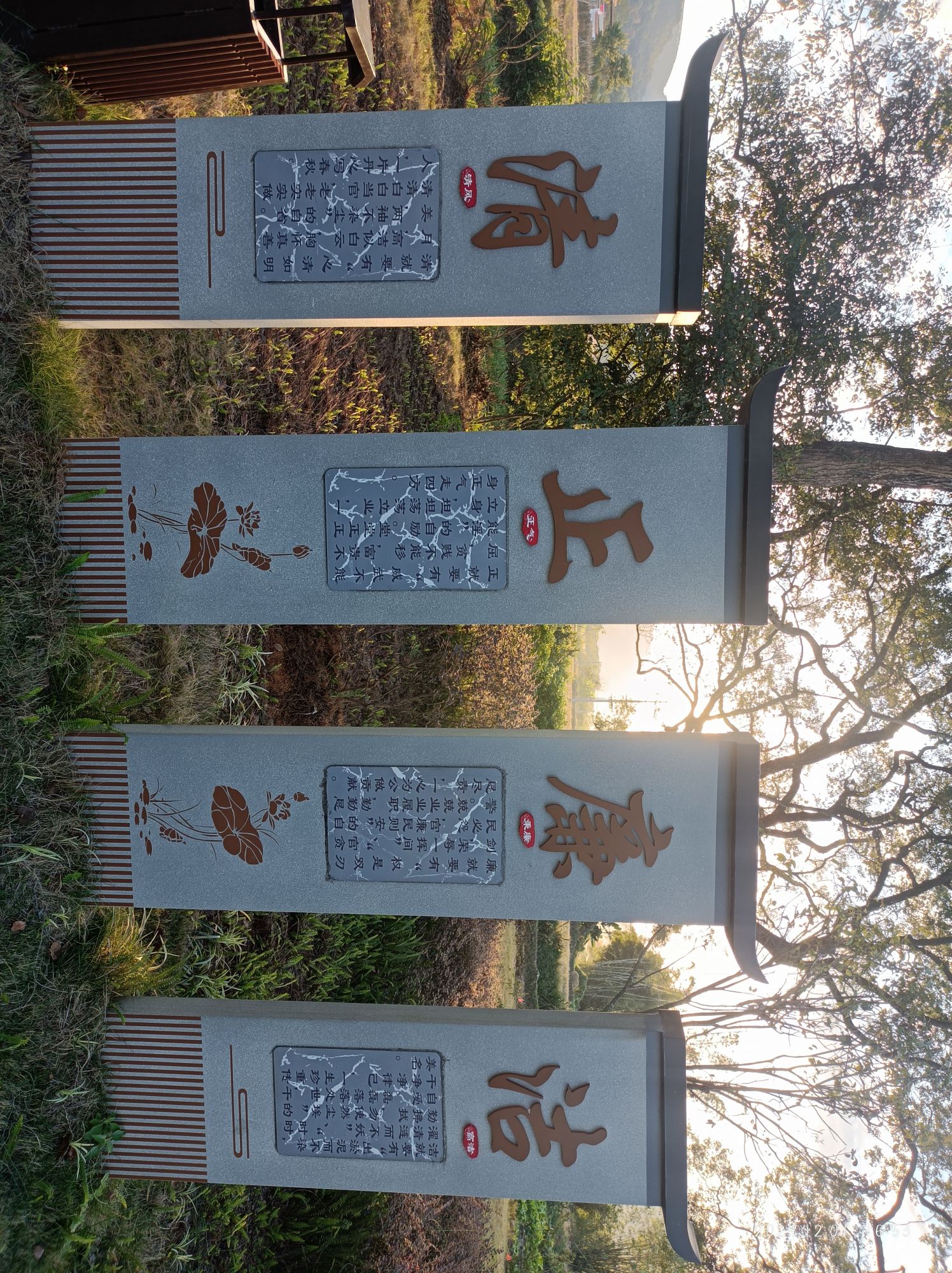 田心古树公园旅行图片 2