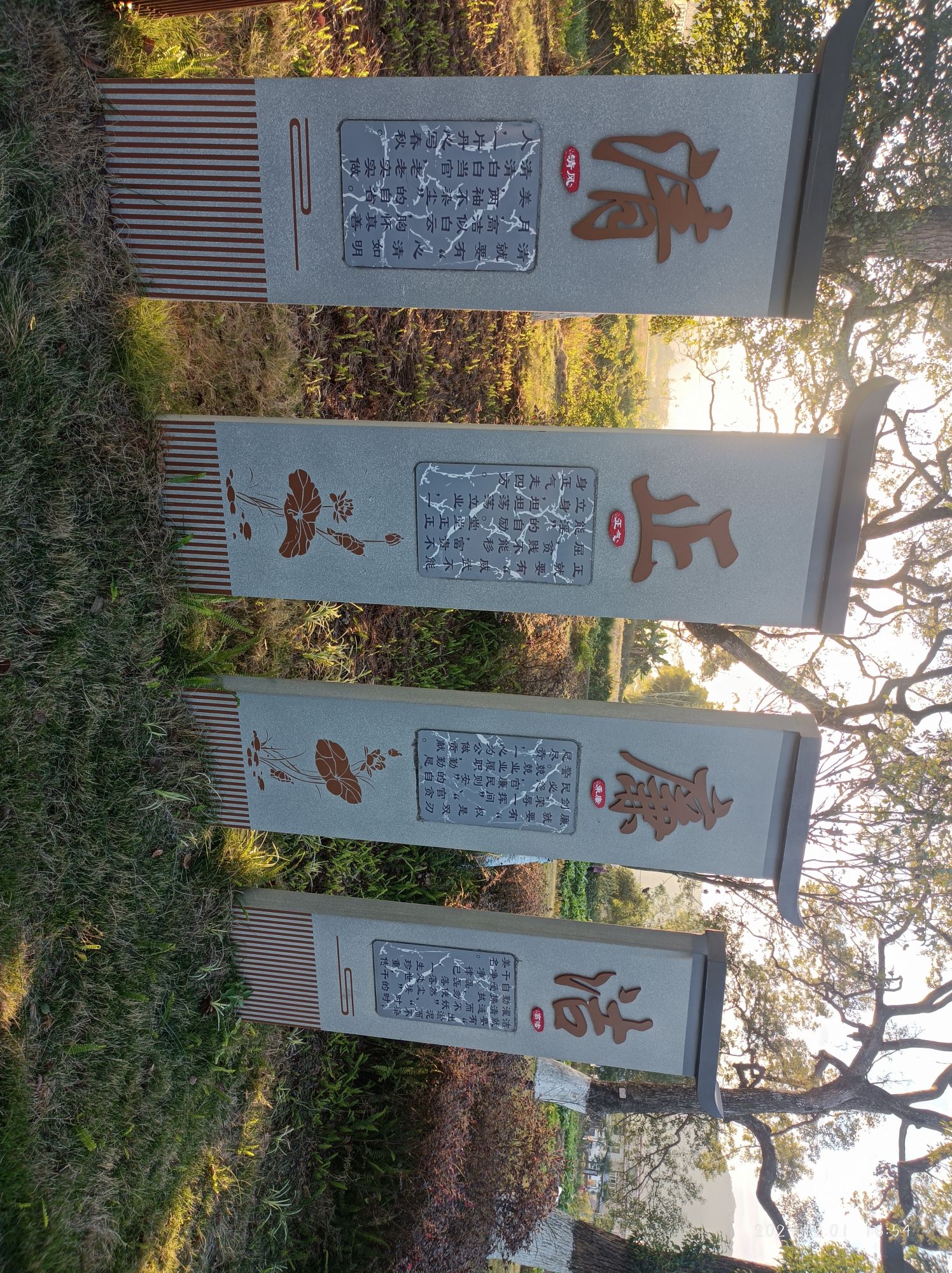 田心古树公园旅行图片 1