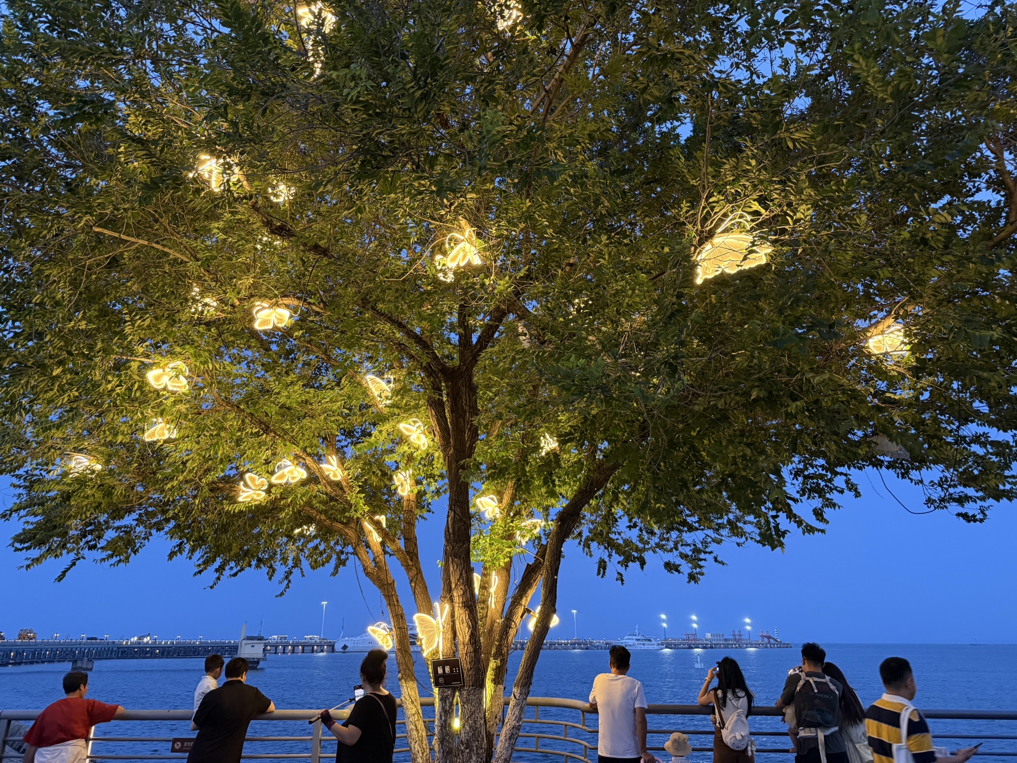 秦皇岛港口工业旅游区旅行图片 1