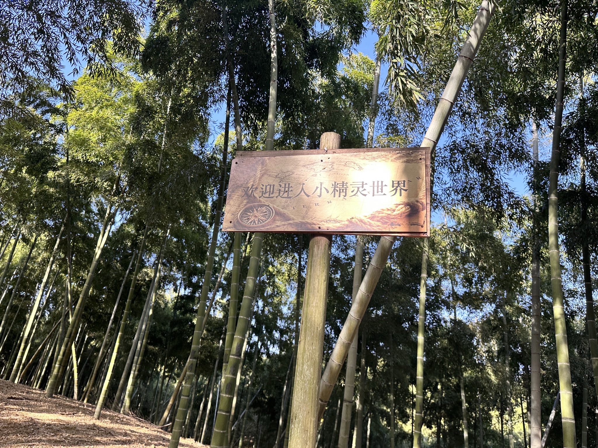 西塞山旅游度假区旅行图片 1