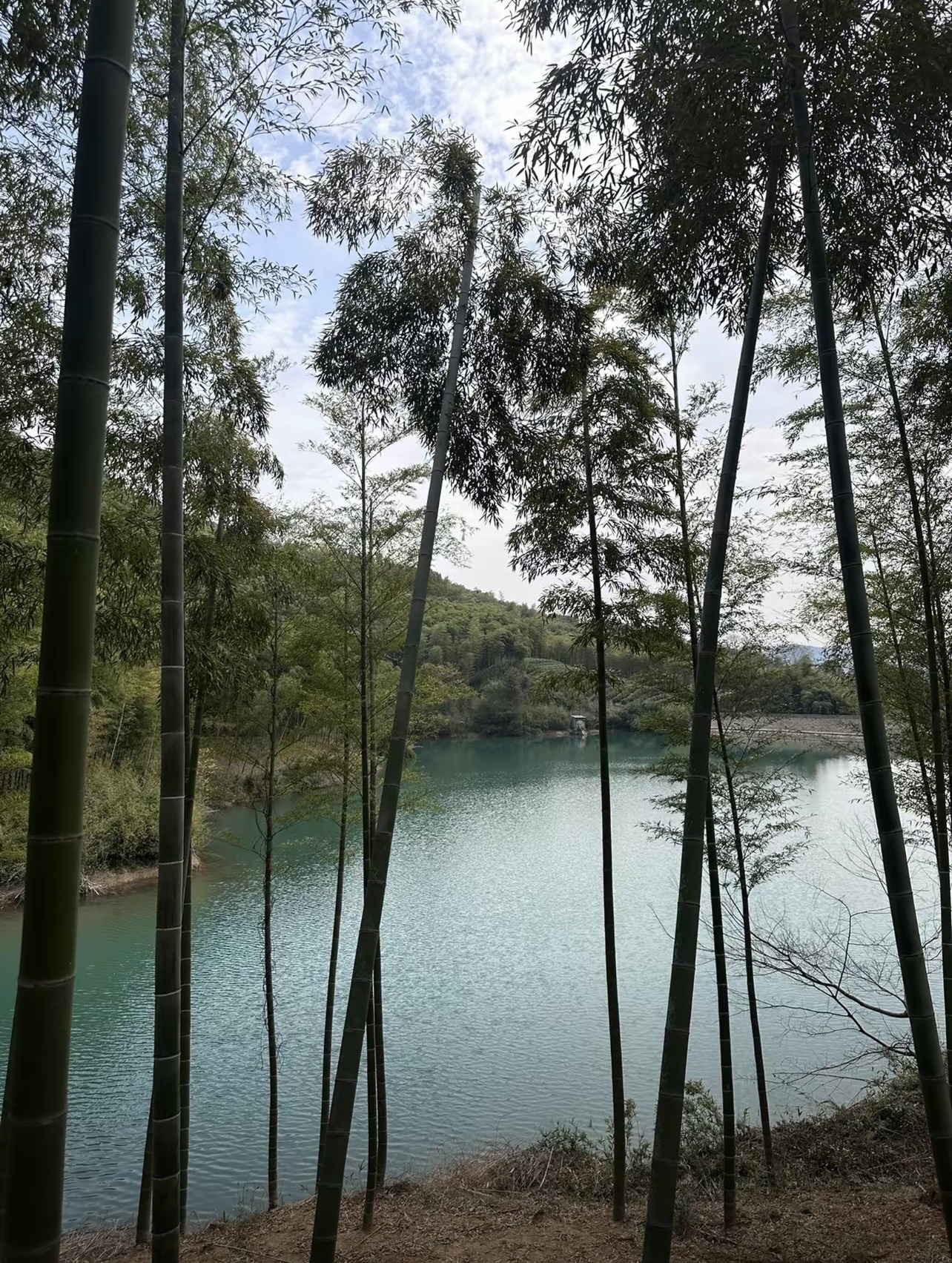 西塞山旅游度假区旅行图片 3
