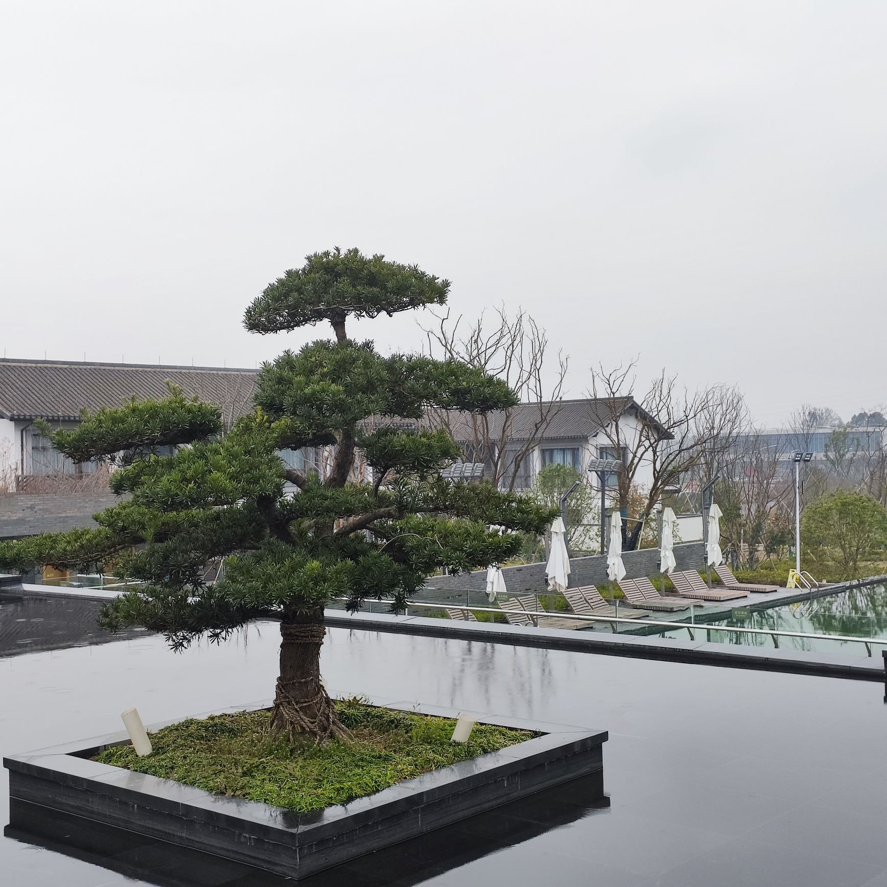 西塞山旅游度假区旅行图片 3