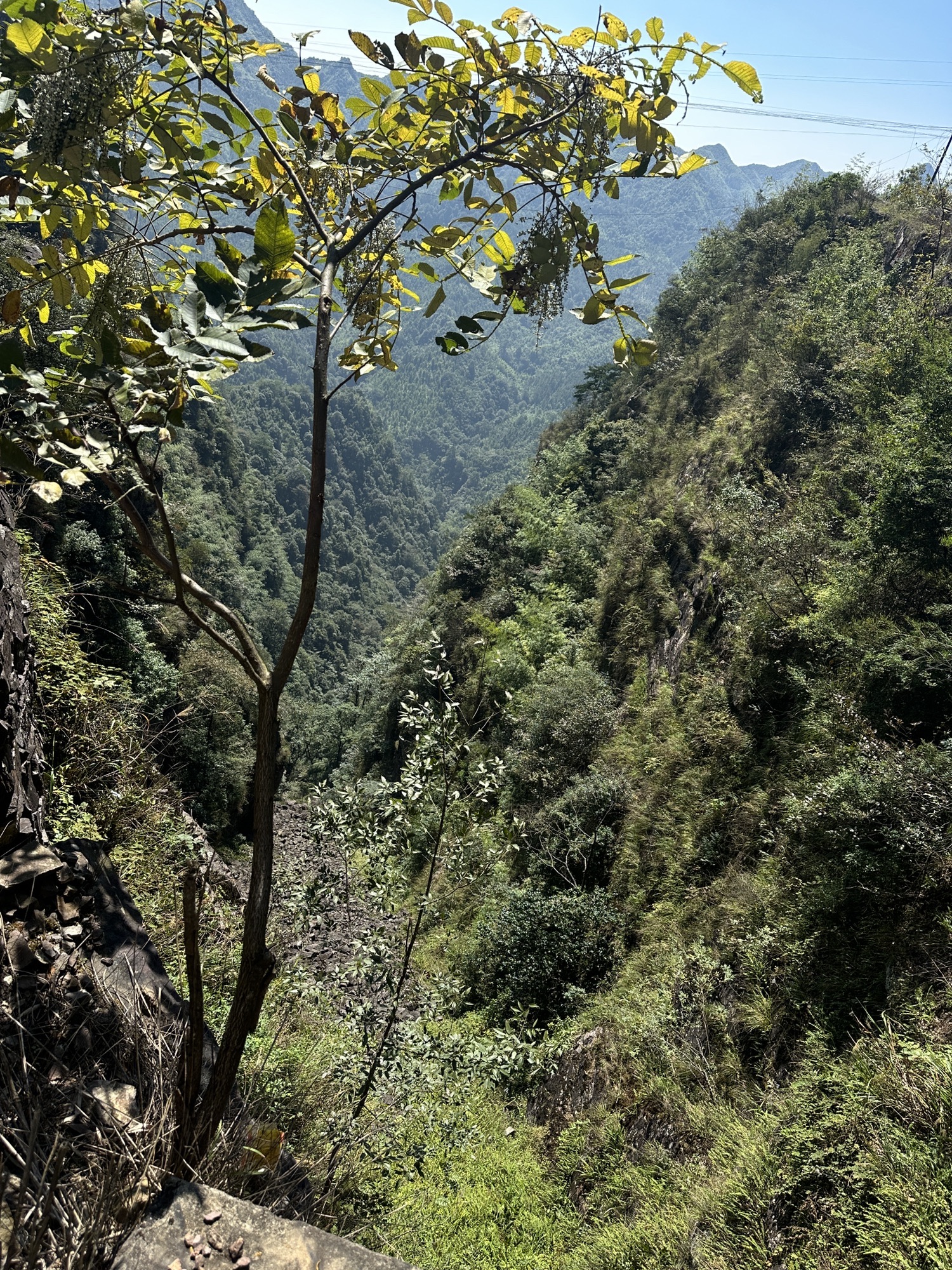 三号石壁旅行图片 2