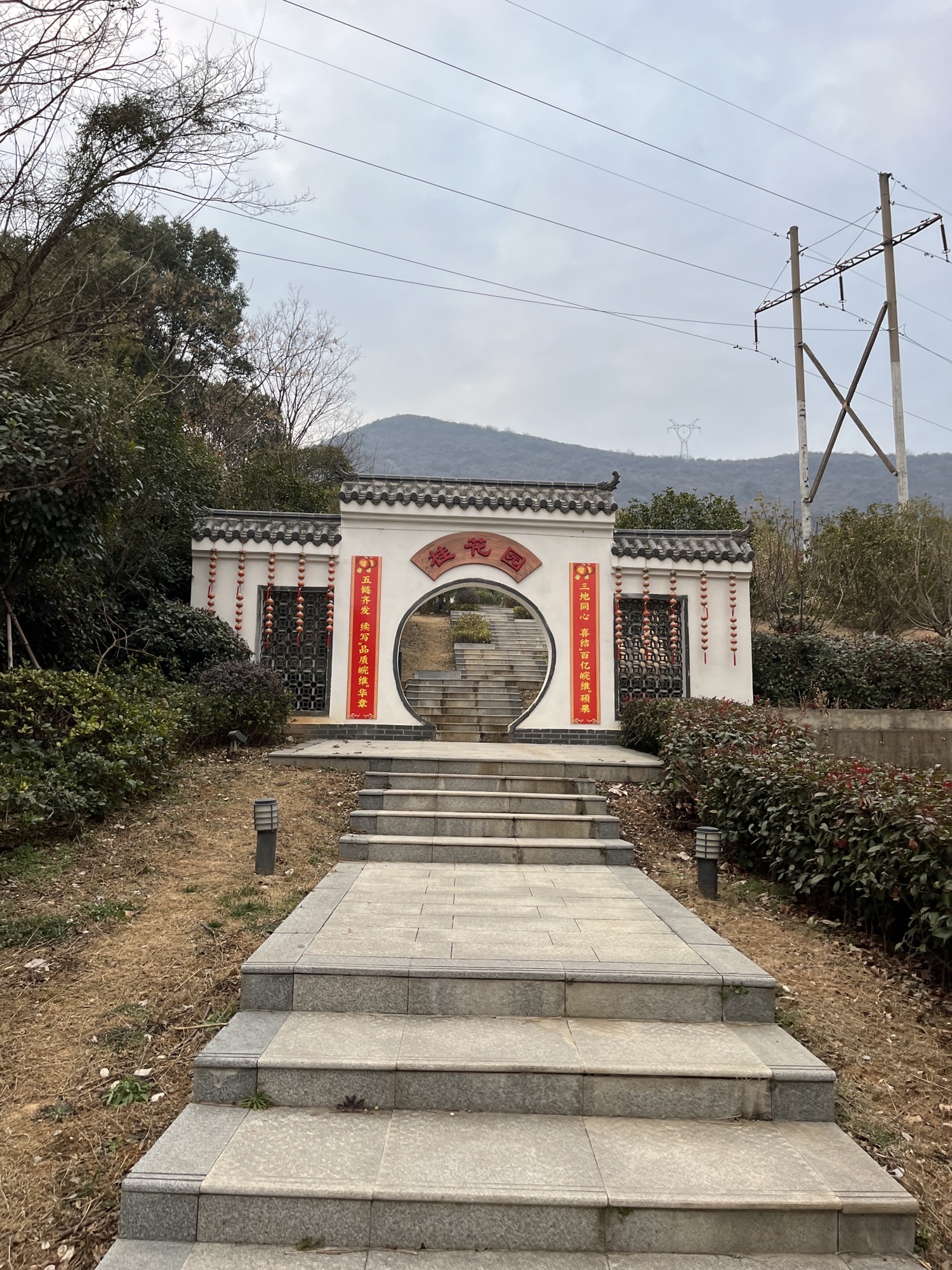 皖维西区桂花园旅行图片 1