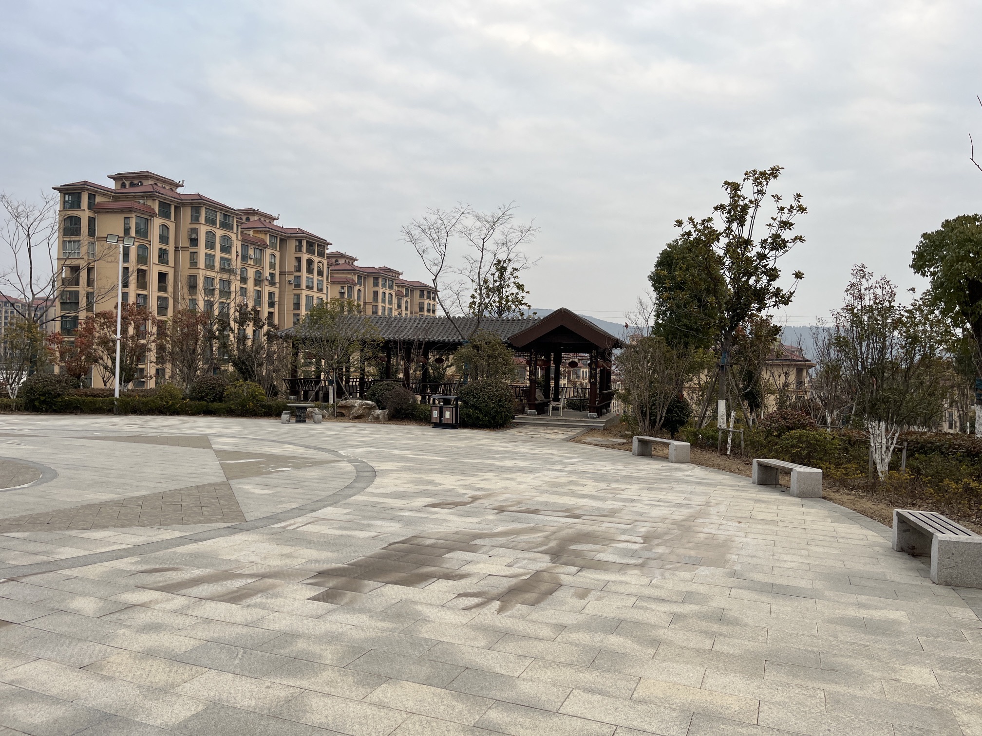 皖维西区桂花园旅行图片 2