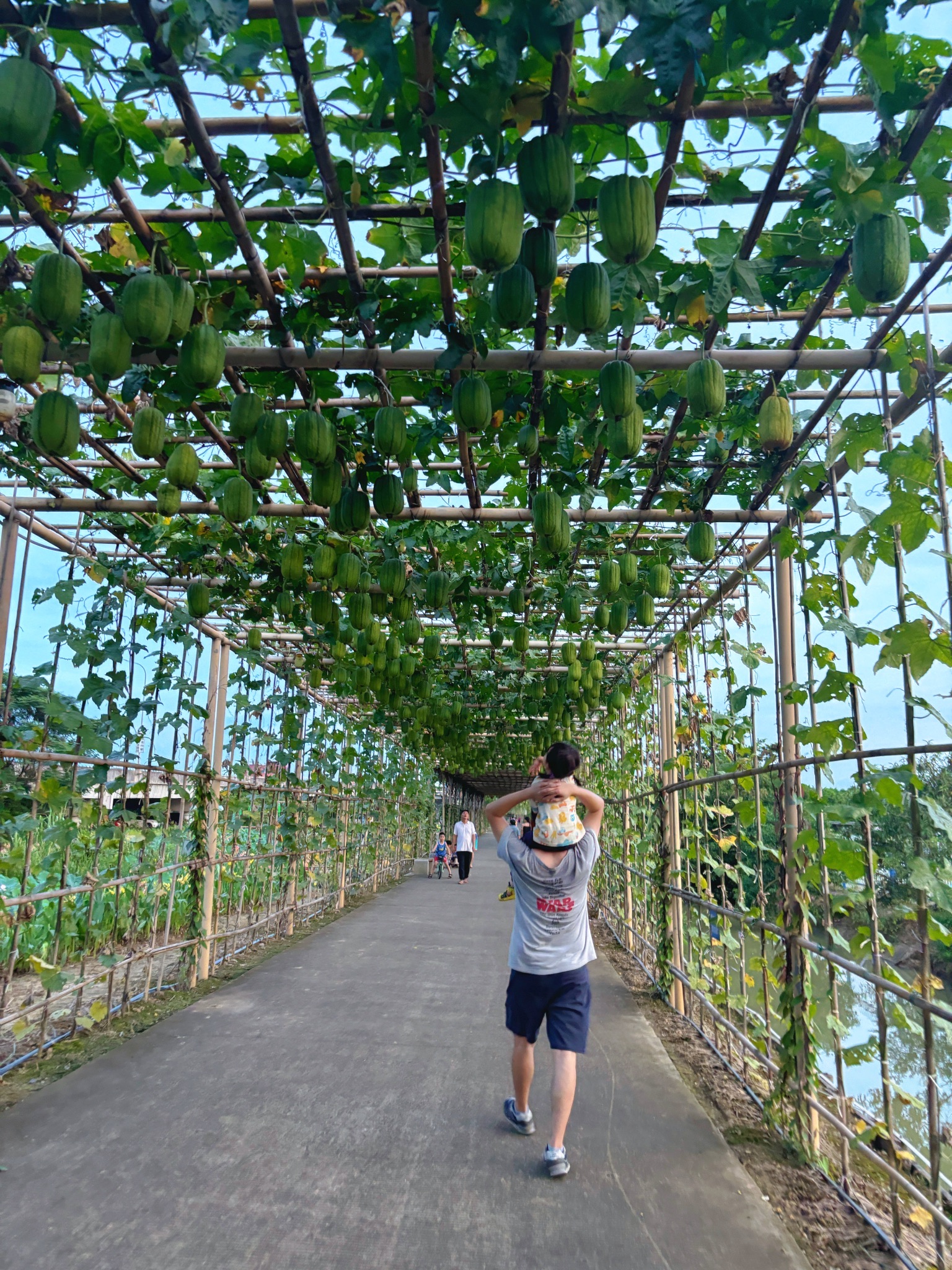 大稳村东涌绿道湿地公园旅行图片 3