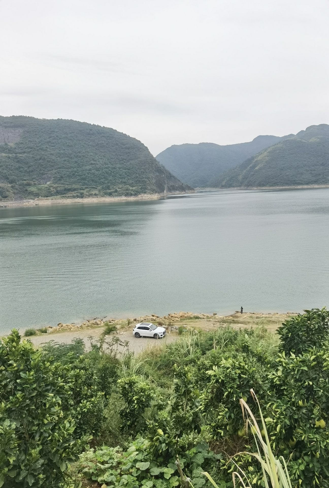 湖南石门仙阳湖国家湿地公园旅行图片 1