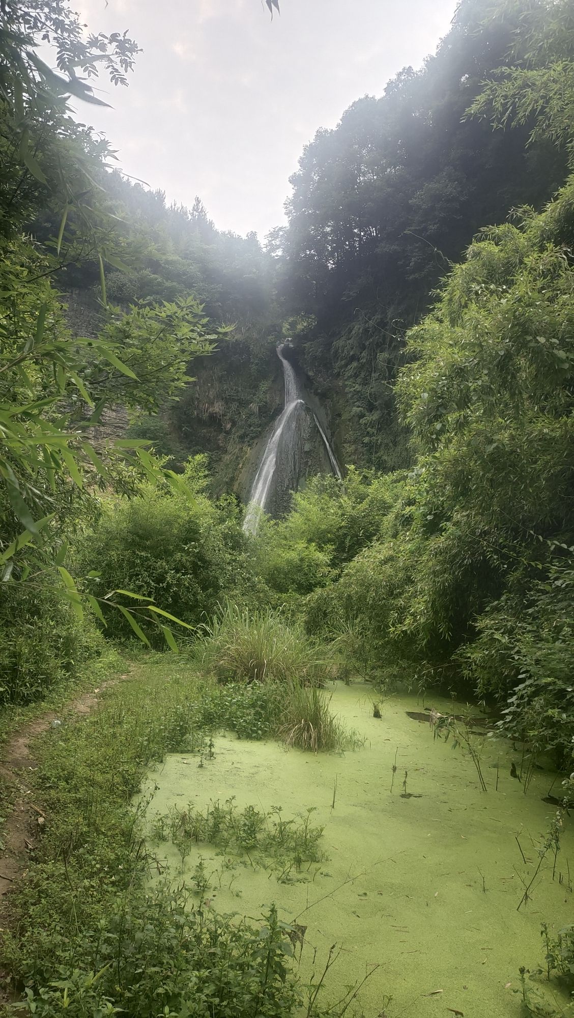 樱花溪瀑布旅行图片 1