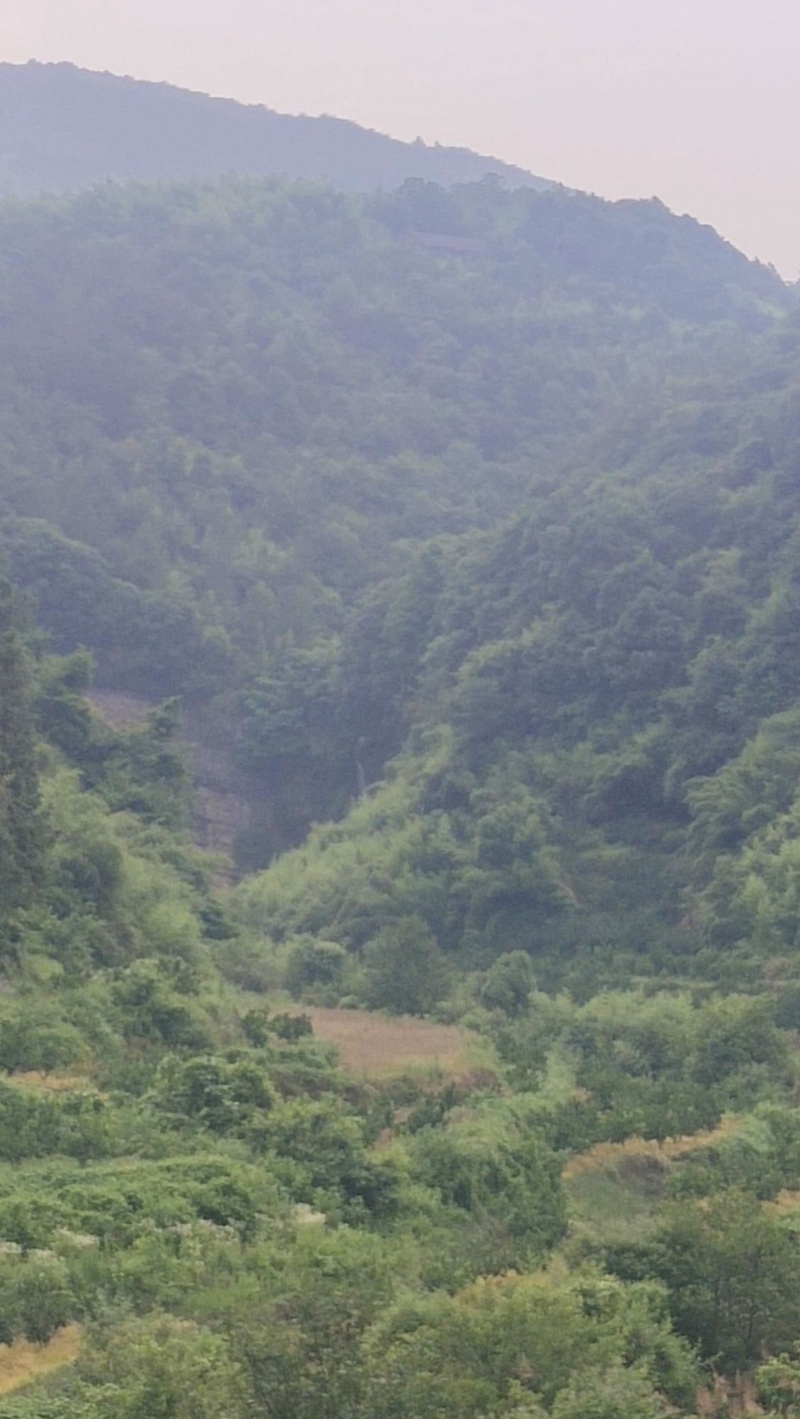樱花溪瀑布旅行图片 3