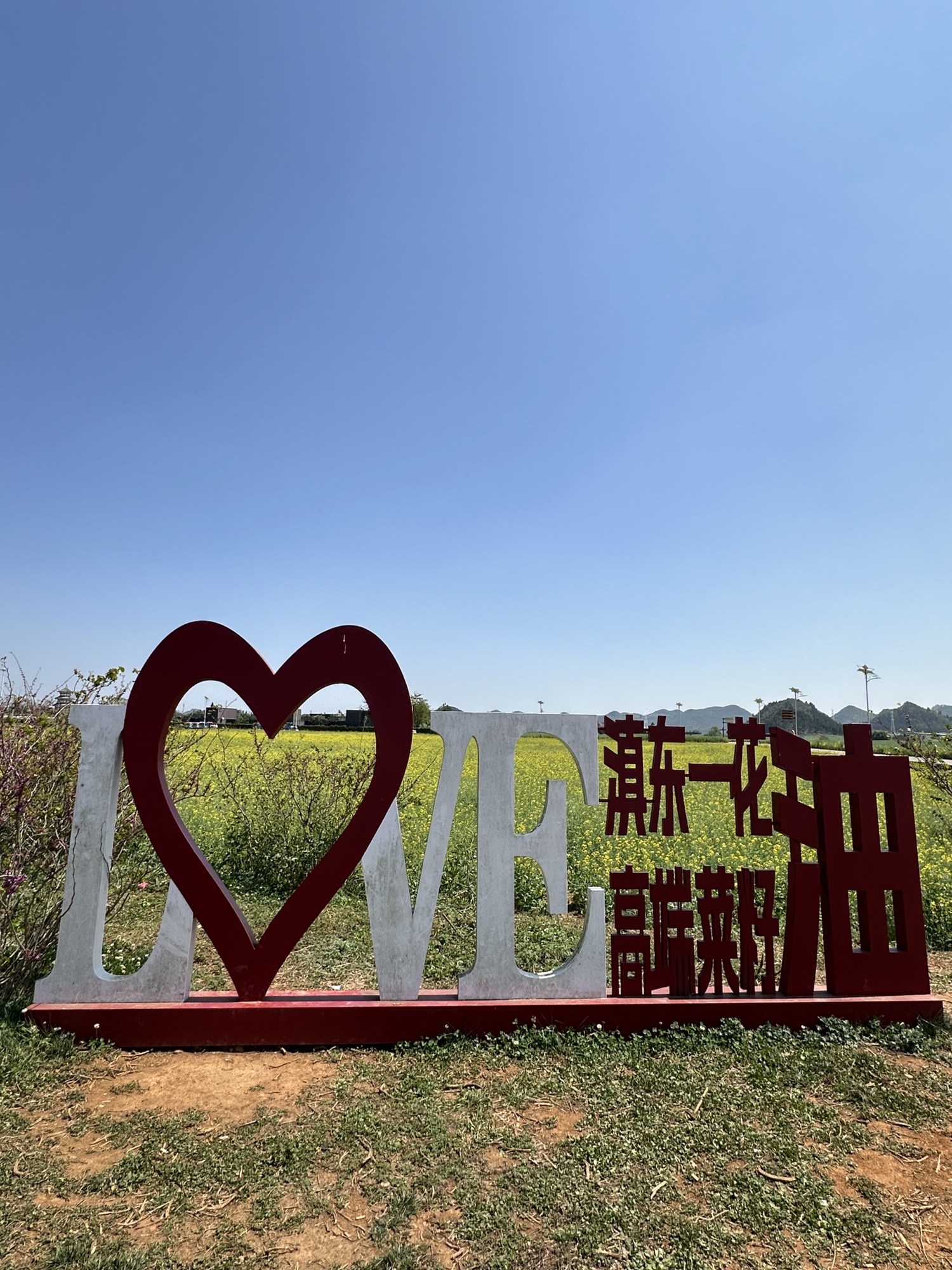罗平油菜花海世界景点图片