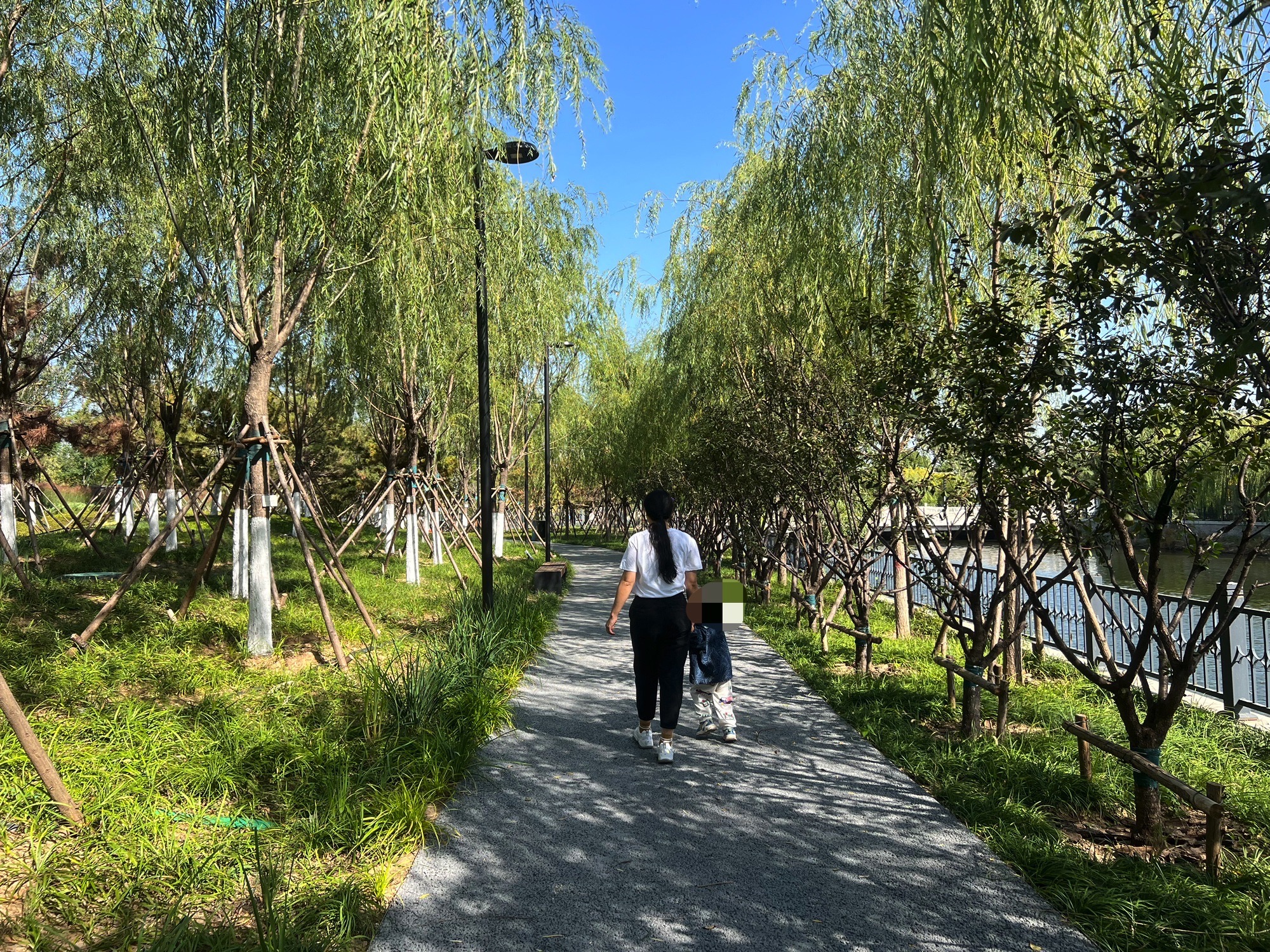 杨柳青大运河国家文化公园旅行图片 1