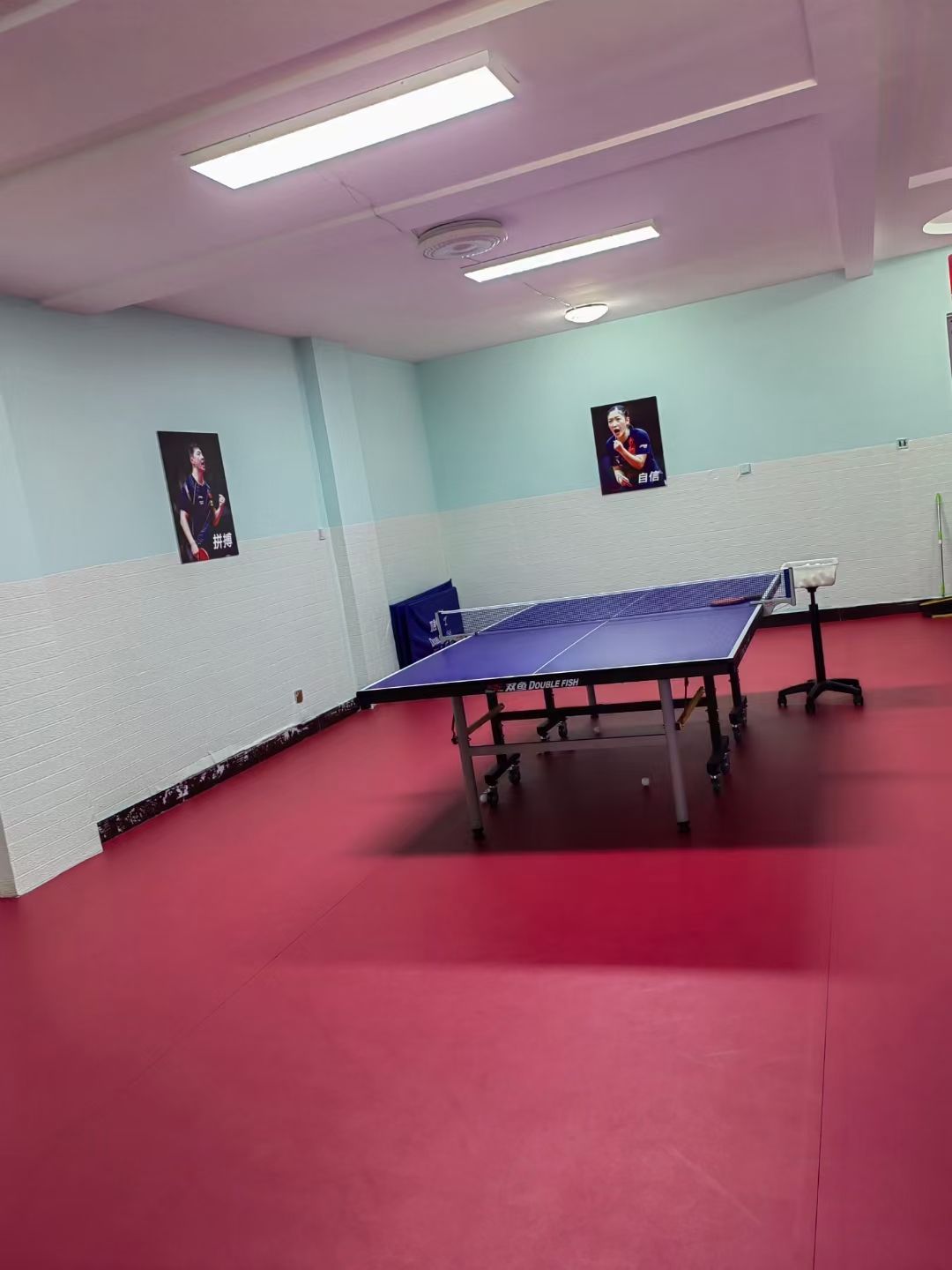 福音乒乓球俱乐部(乒乓球培训及考级基地)