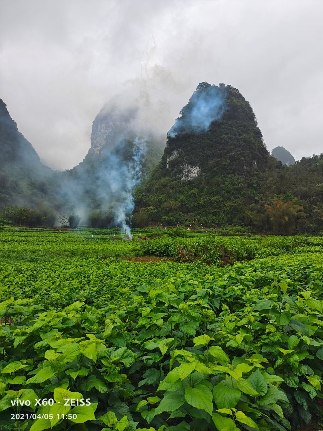 诗和远方景区