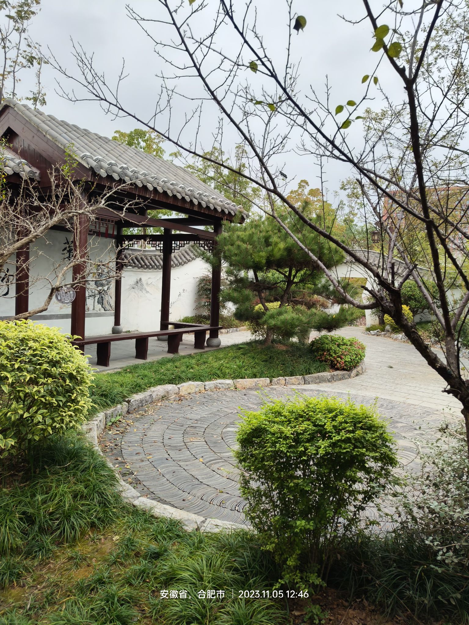 文翁湖公园旅行图片 3