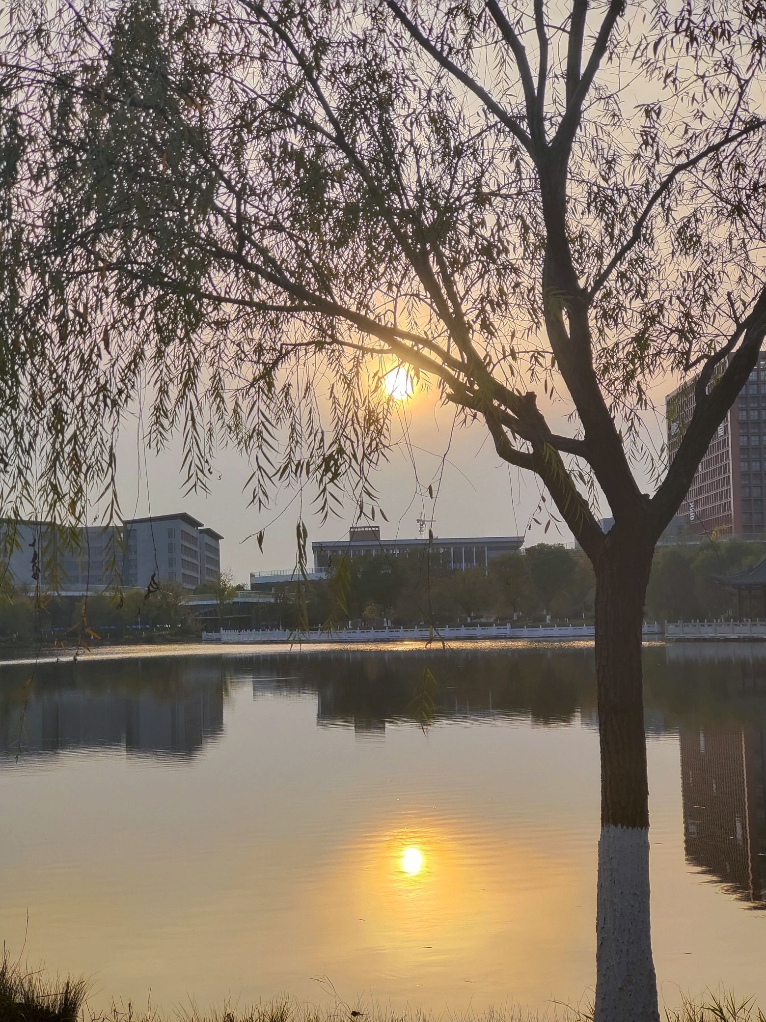 文翁湖公园旅行图片 1