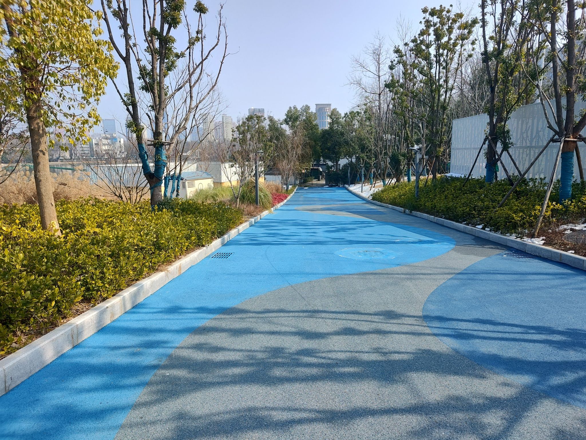 官桥湖公园旅行图片 3