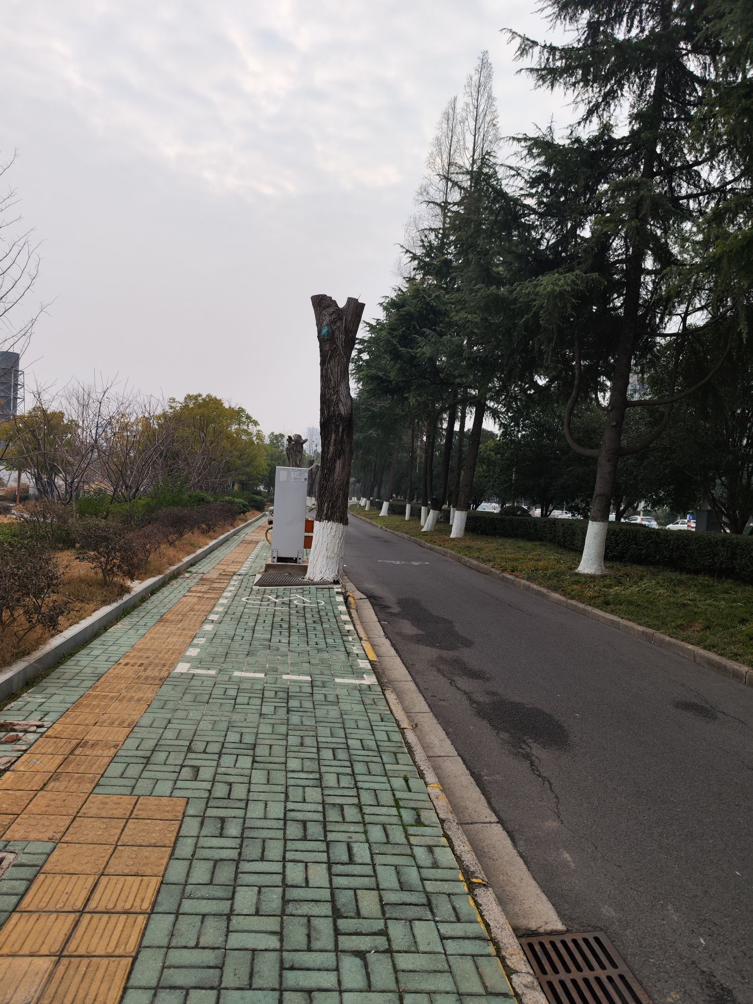 官桥湖公园旅行图片 1