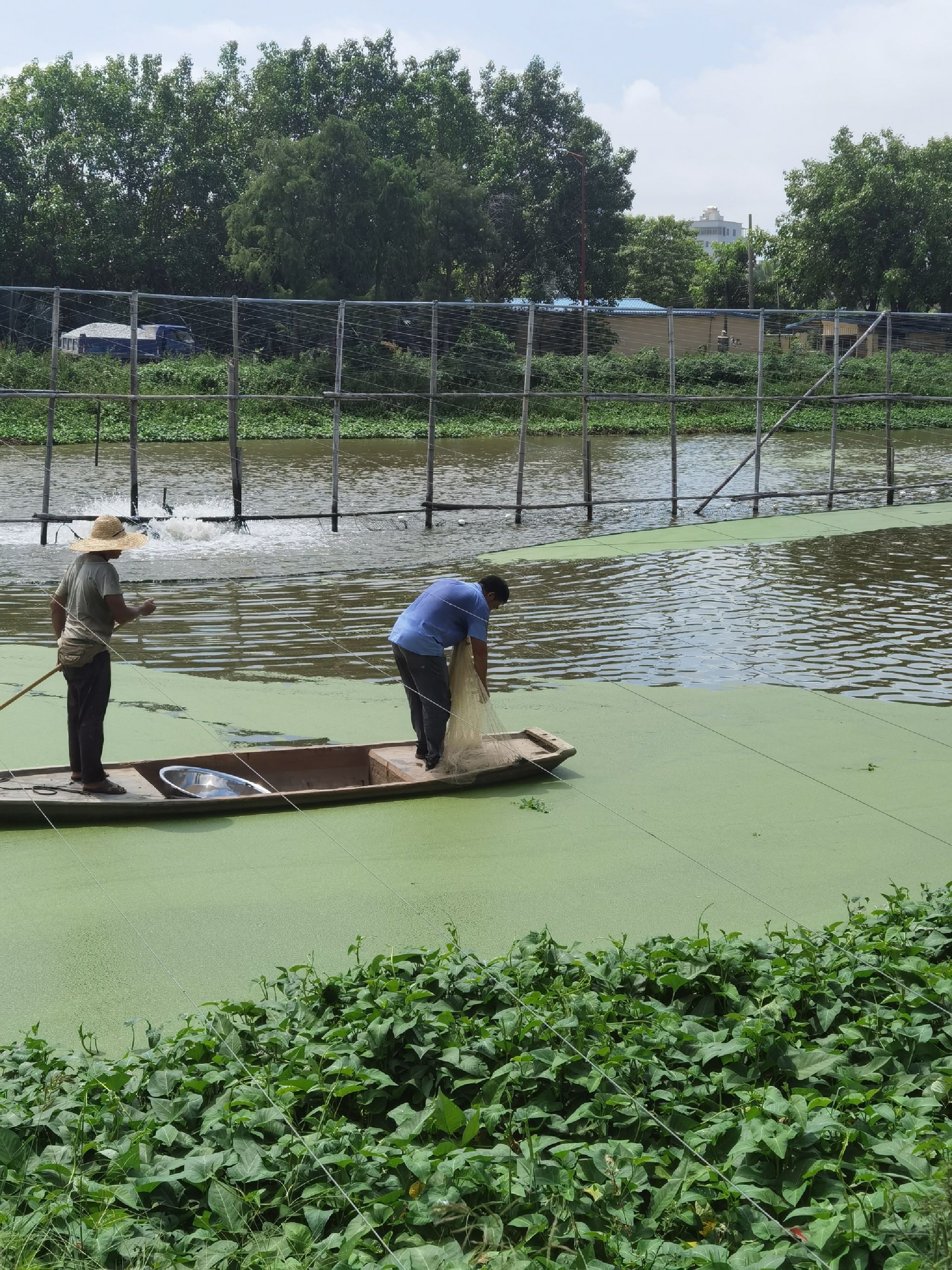 庆宝渔水产服务中心