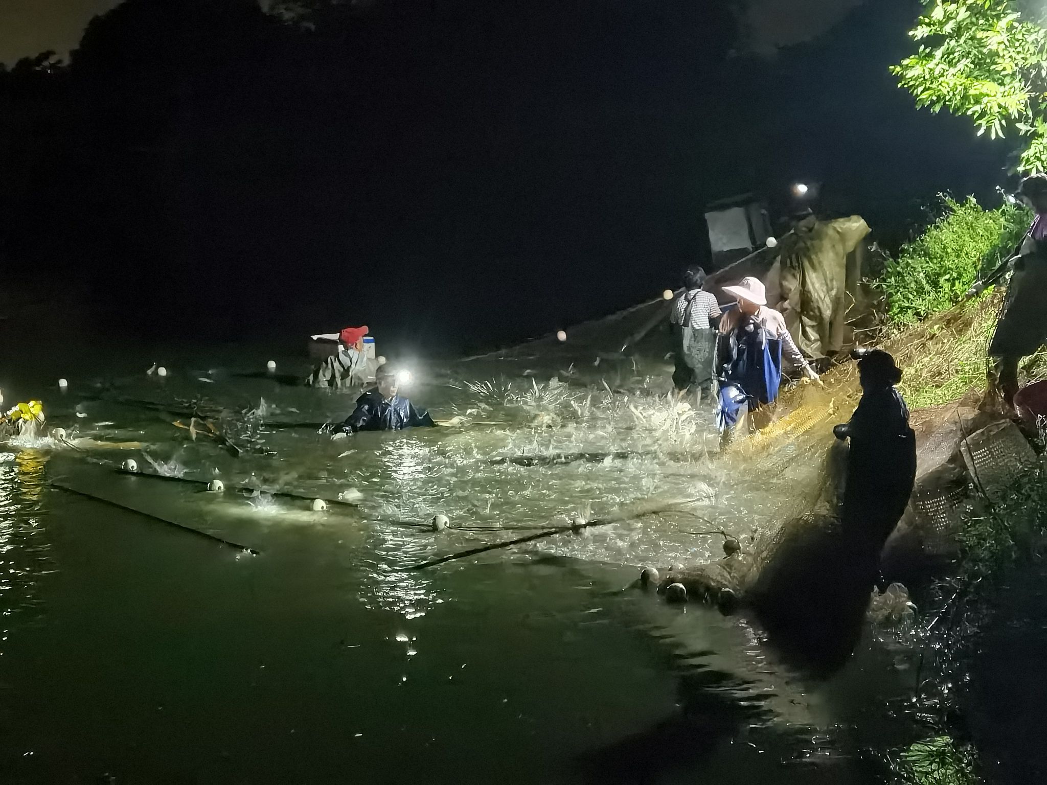 庆宝渔水产服务中心